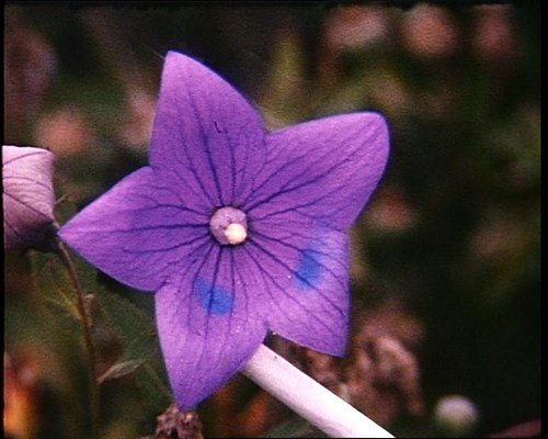 Image 45 of 46