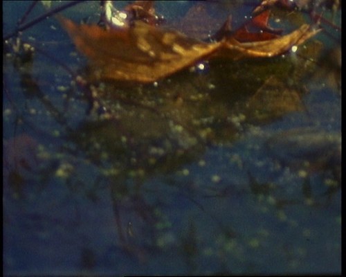 Image 46 of 46