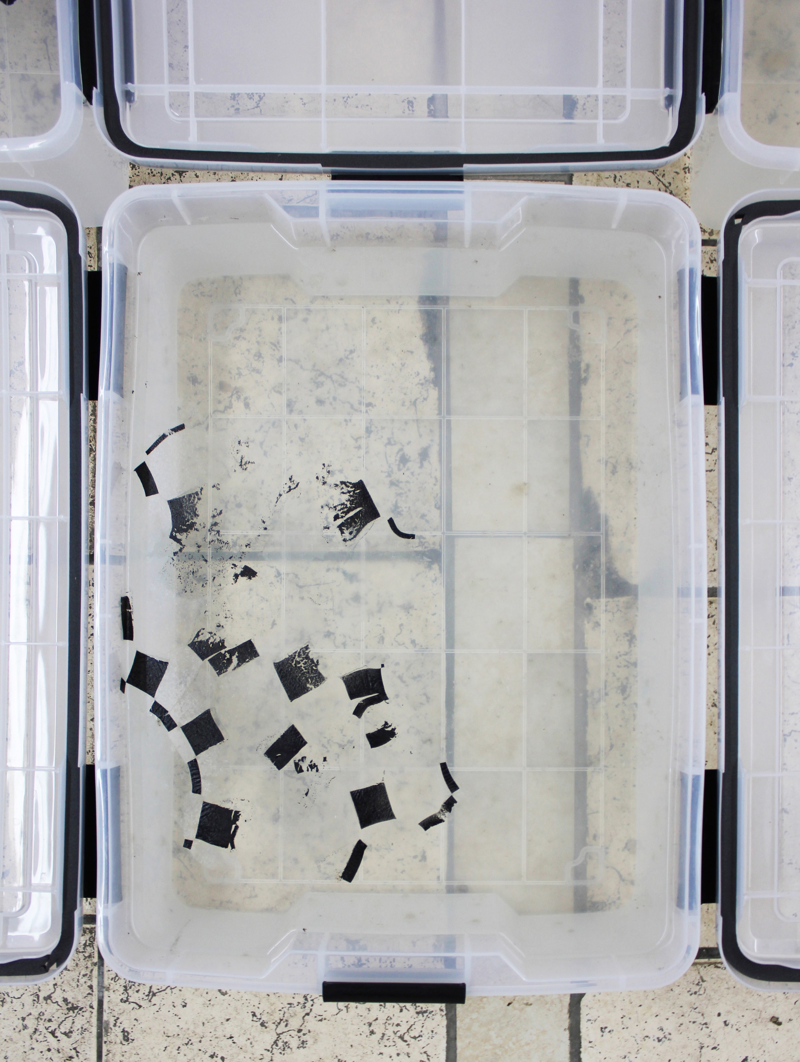 Chadwick Rantanen, Untitled at Maxwell Graham, photo 31