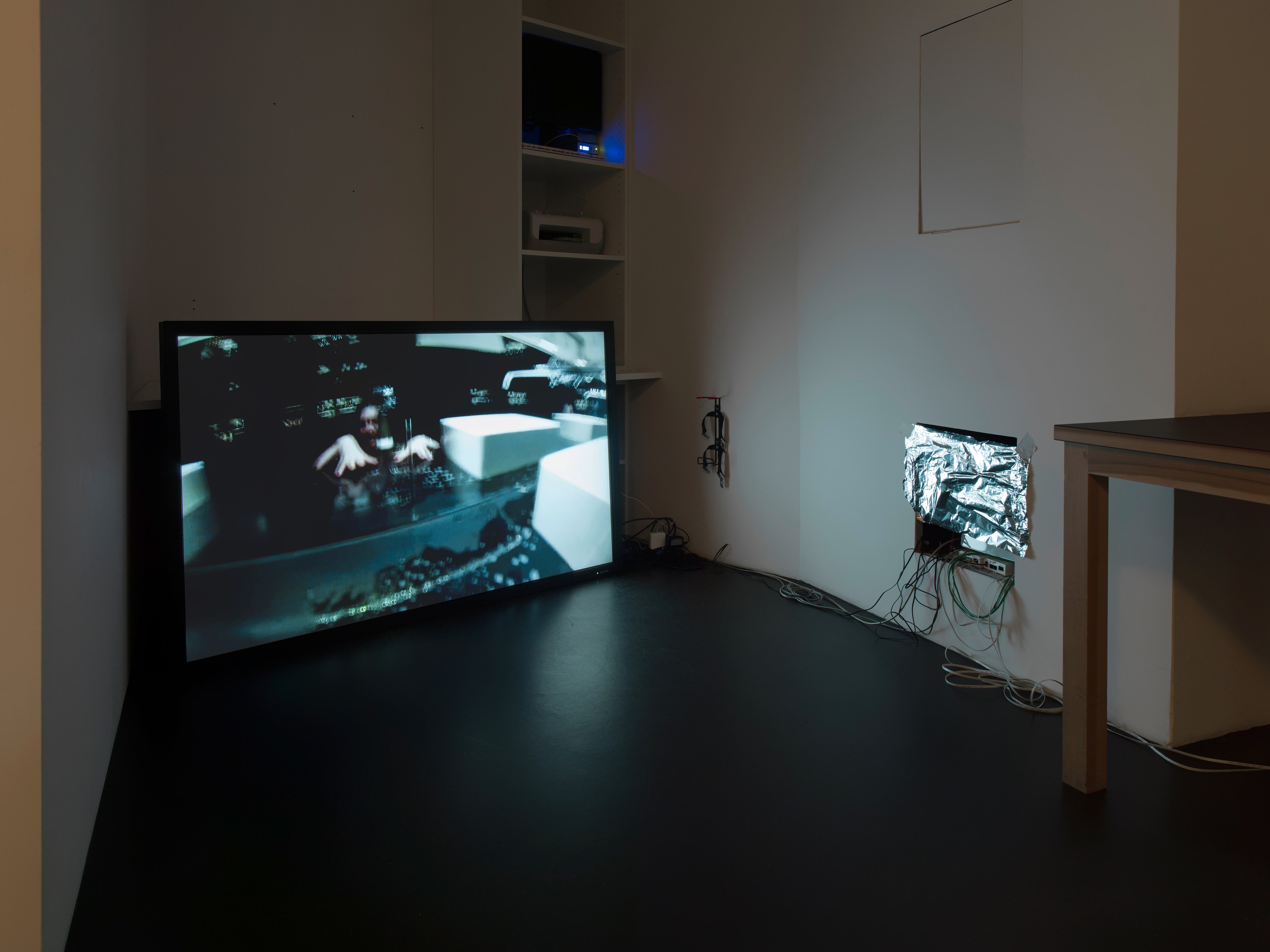 Raphaela Vogel, Ich gebe Euch eine Verfassung at BQ, photo 24