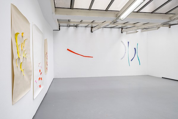 Image 7 of 19