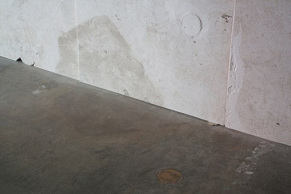 Image 7 of 19