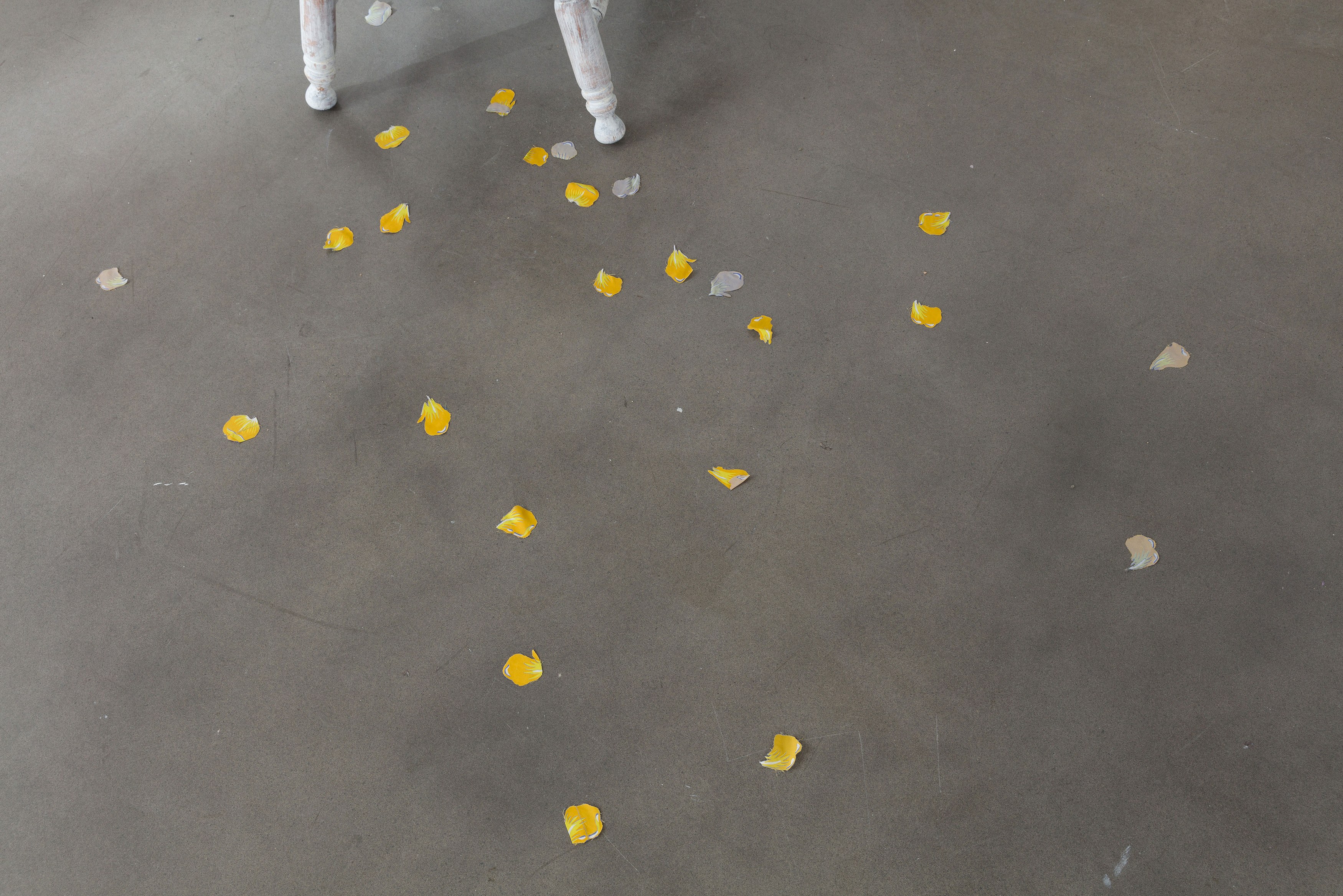 Kiss in Tears, Kiss in Tears at Freedman Fitzpatrick, photo 21
