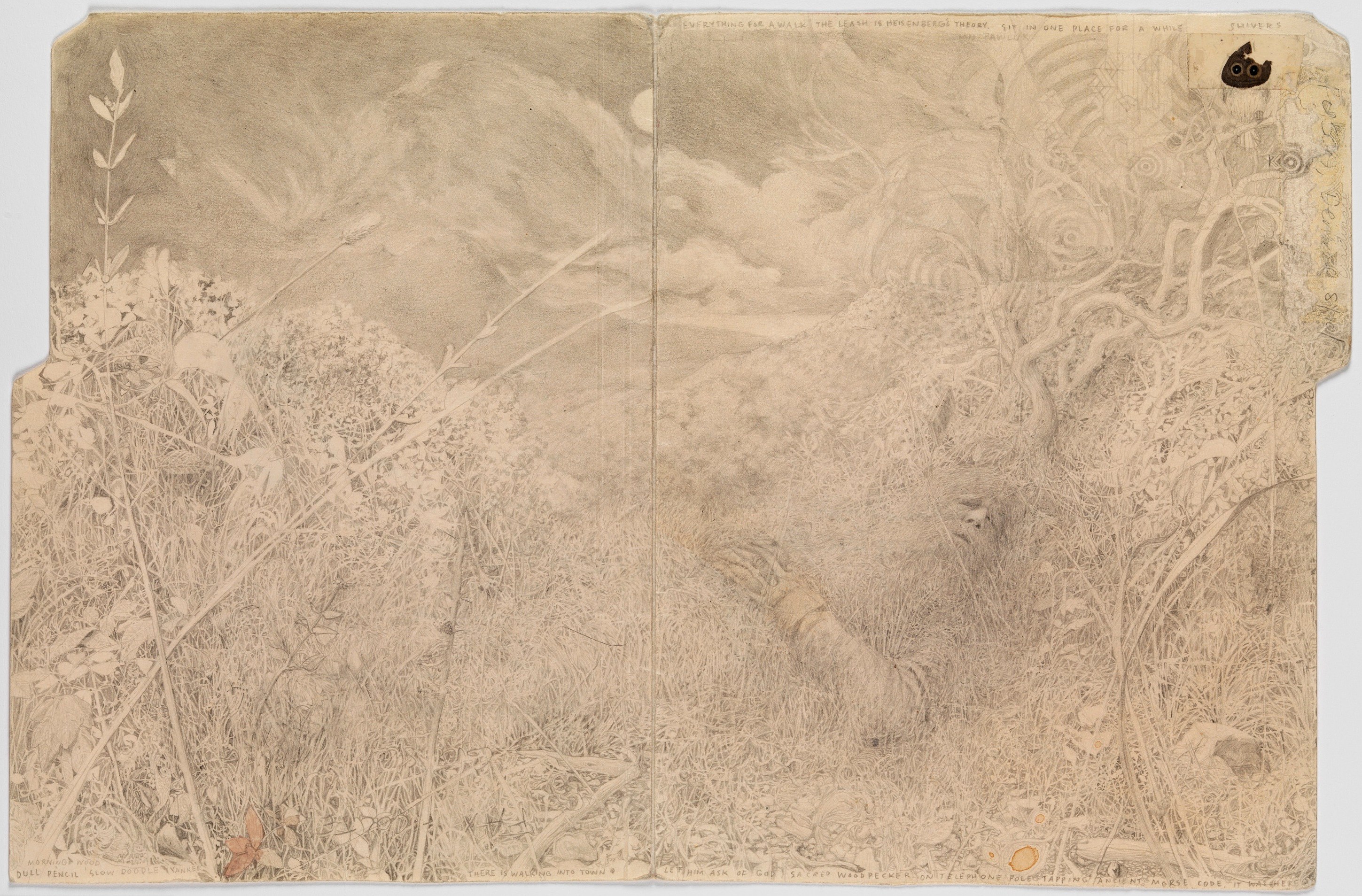 Colter Jacobsen, (...ellipsis) at Corvi-Mora, photo 6