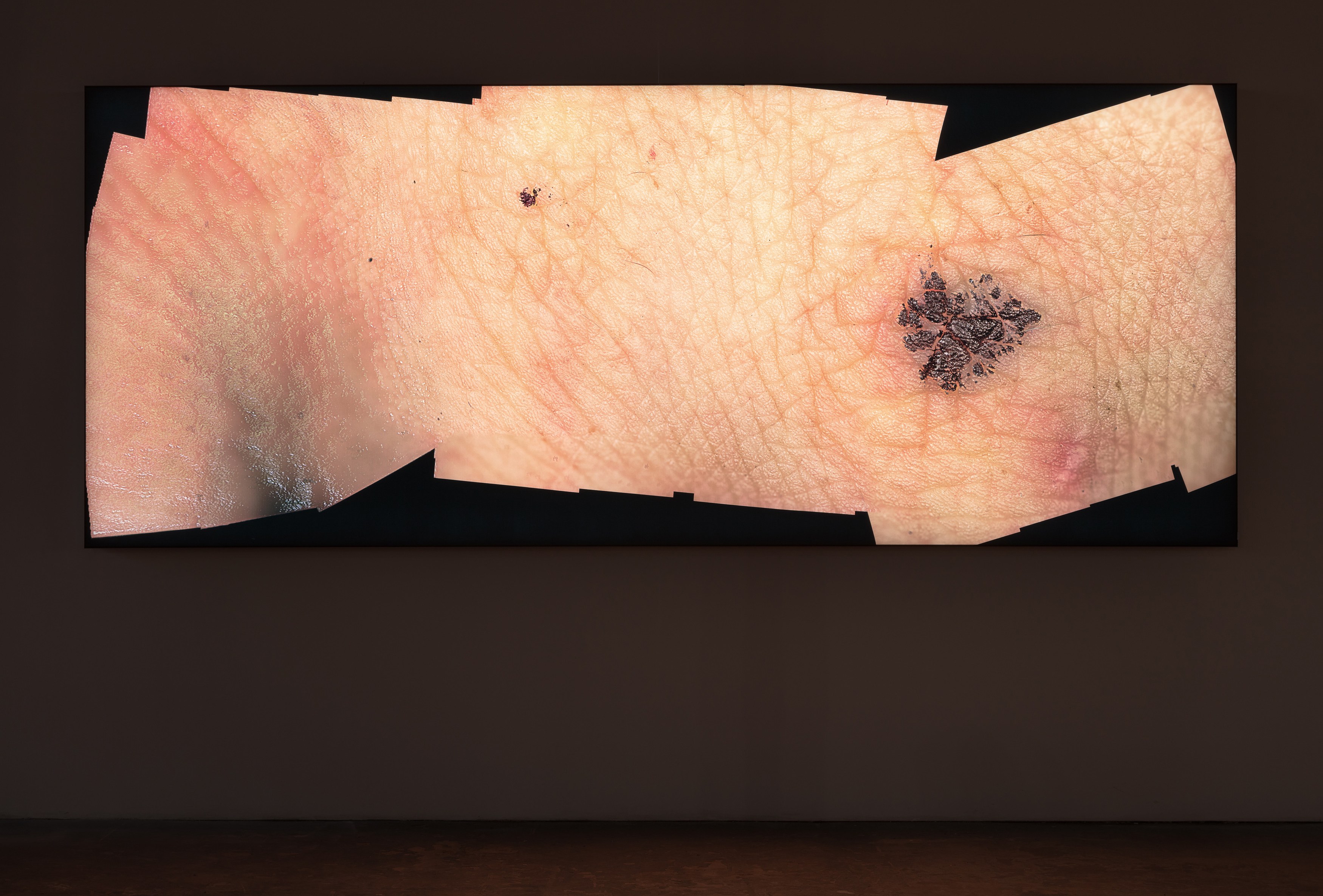 Seth Price, Wrok Fmaily Freidns at 356 Mission, photo 39