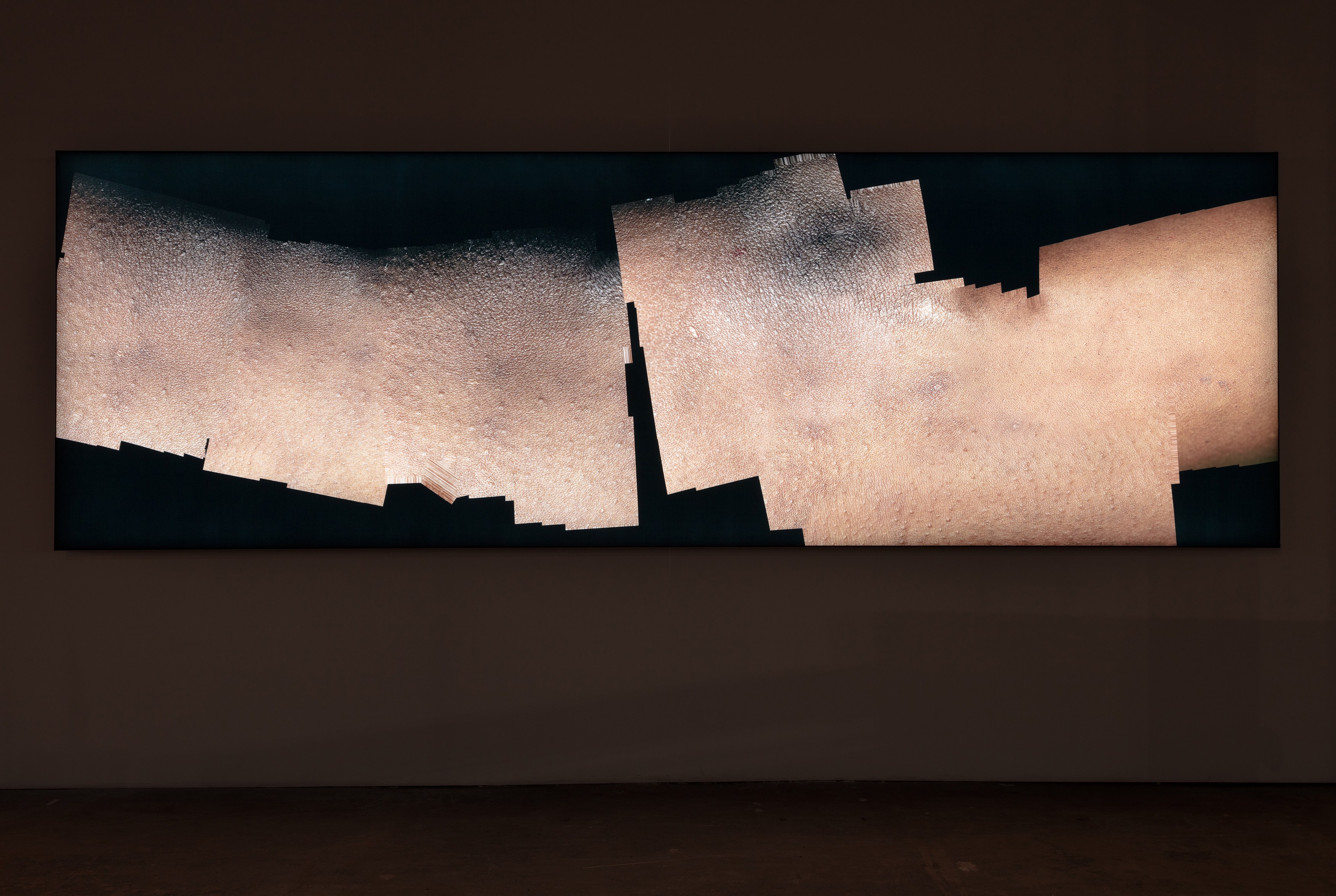 Seth Price, Wrok Fmaily Freidns at 356 Mission, photo 40