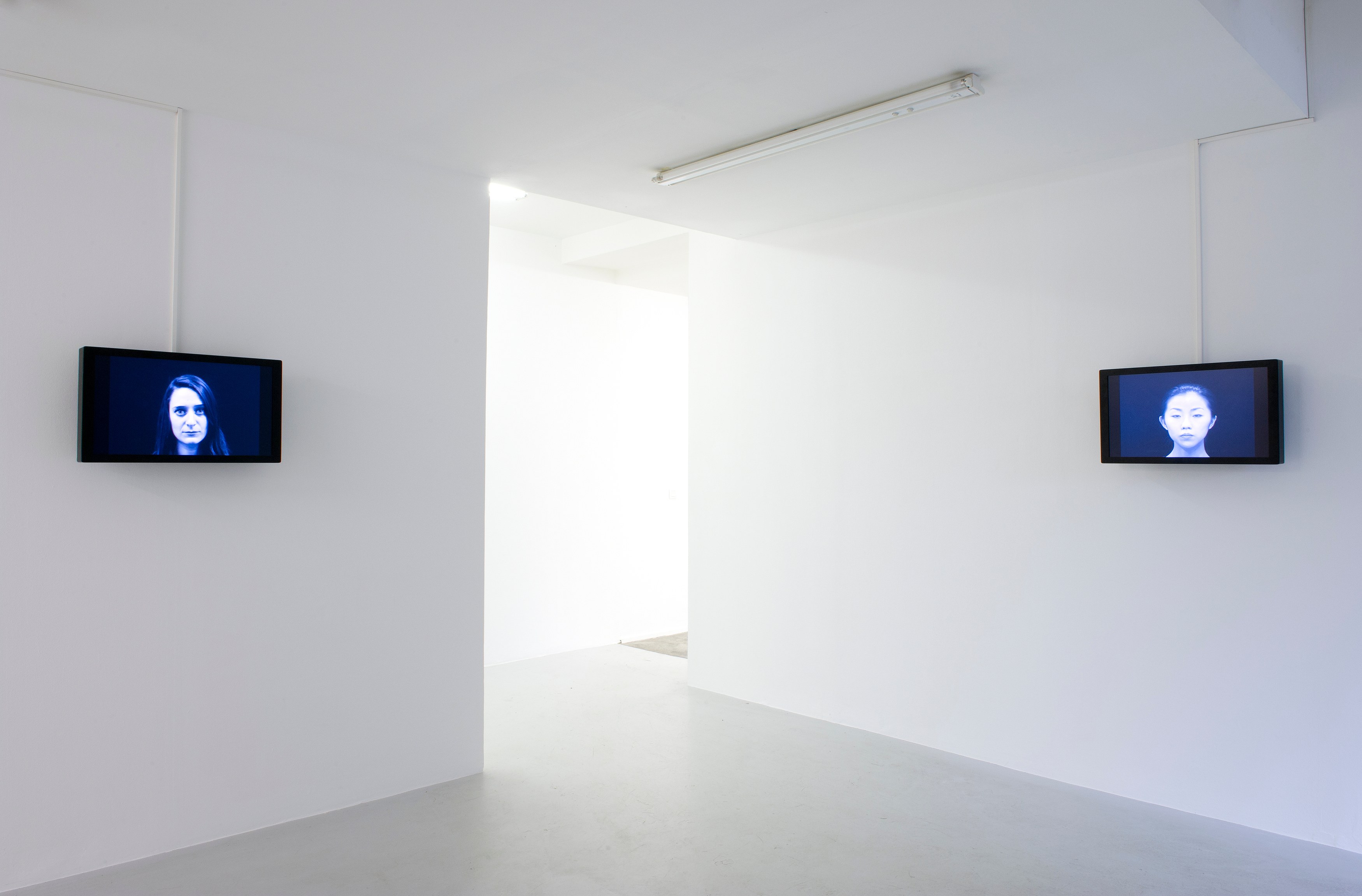 Carsten Höller, AVEC at Air de Paris, photo 8