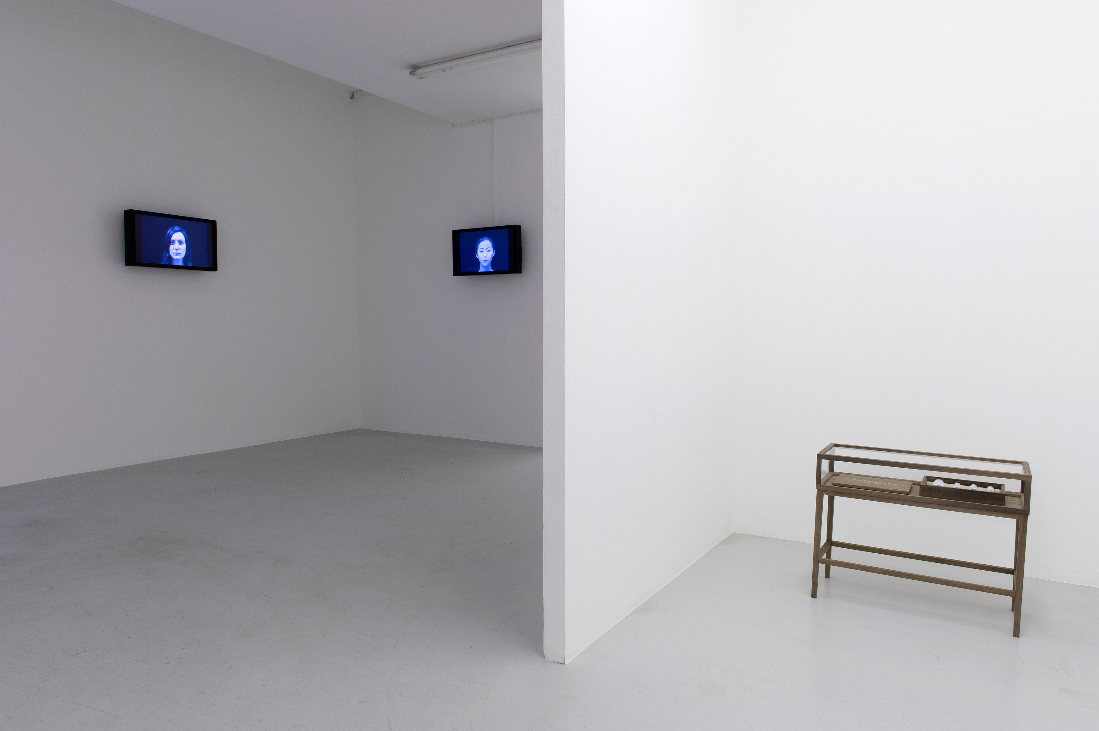 Carsten Höller, AVEC at Air de Paris, photo 9