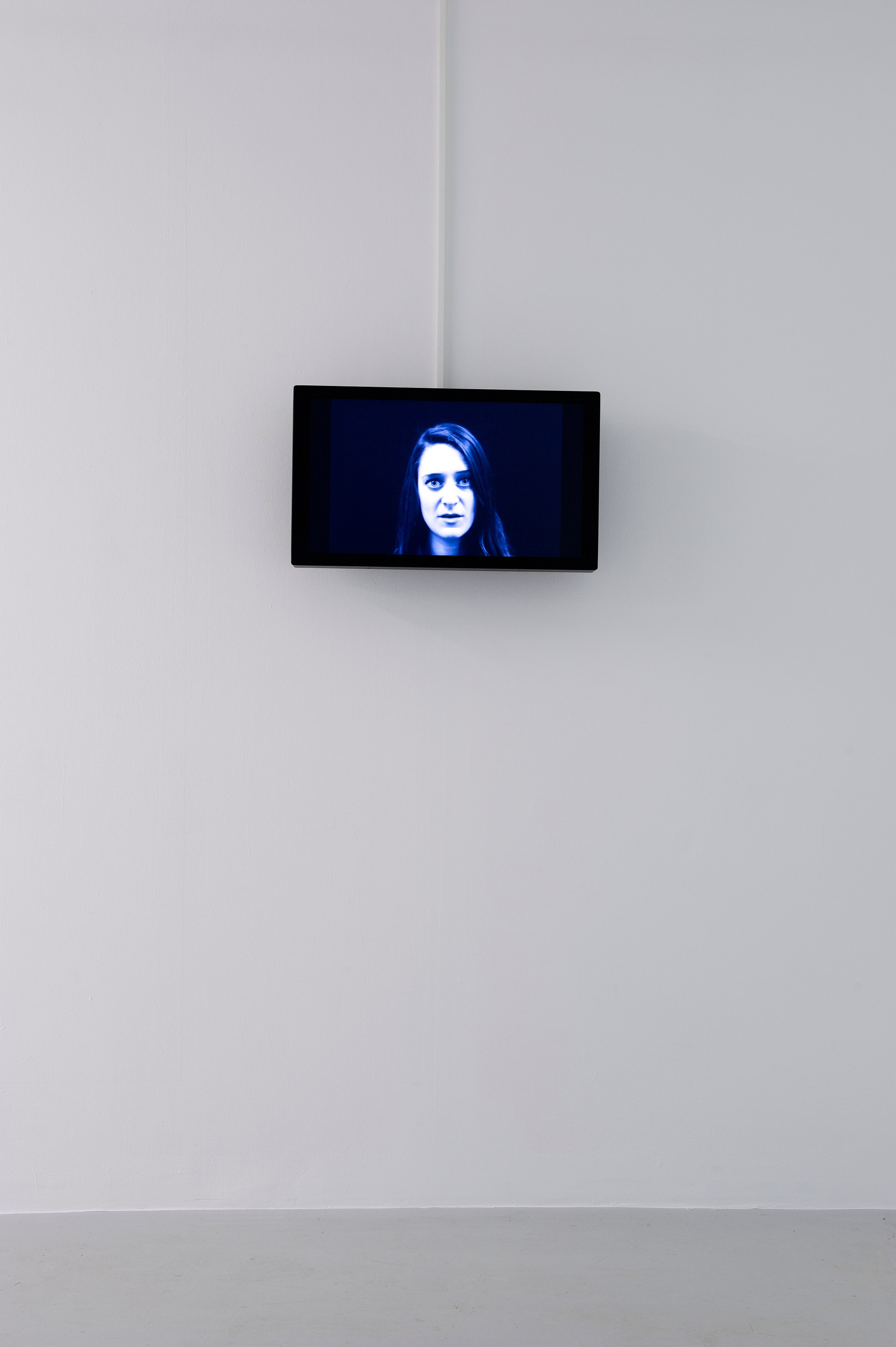 Carsten Höller, AVEC at Air de Paris, photo 10