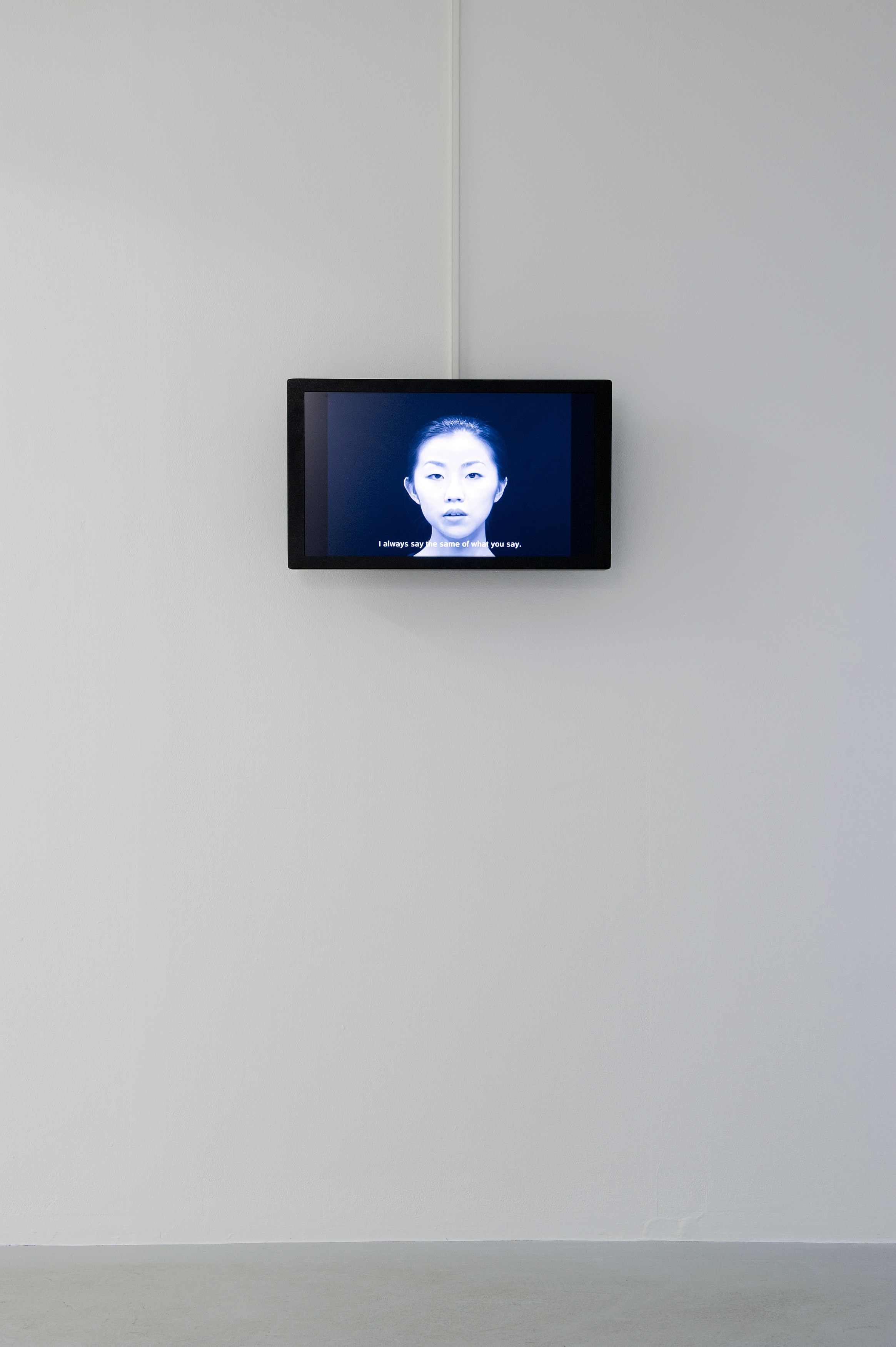 Carsten Höller, AVEC at Air de Paris, photo 11