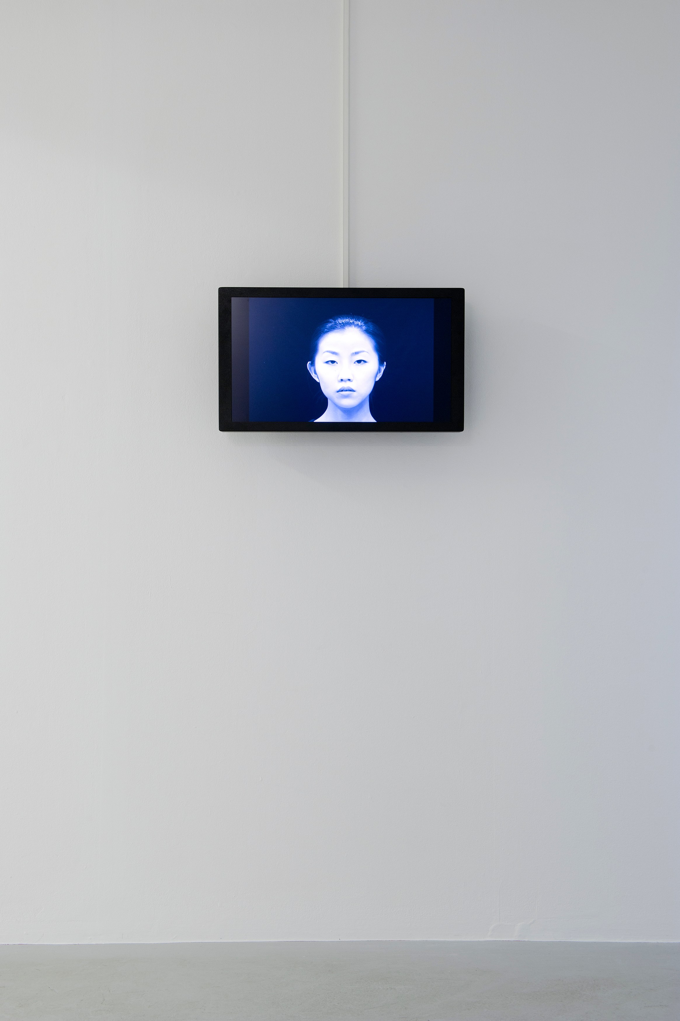 Carsten Höller, AVEC at Air de Paris, photo 12