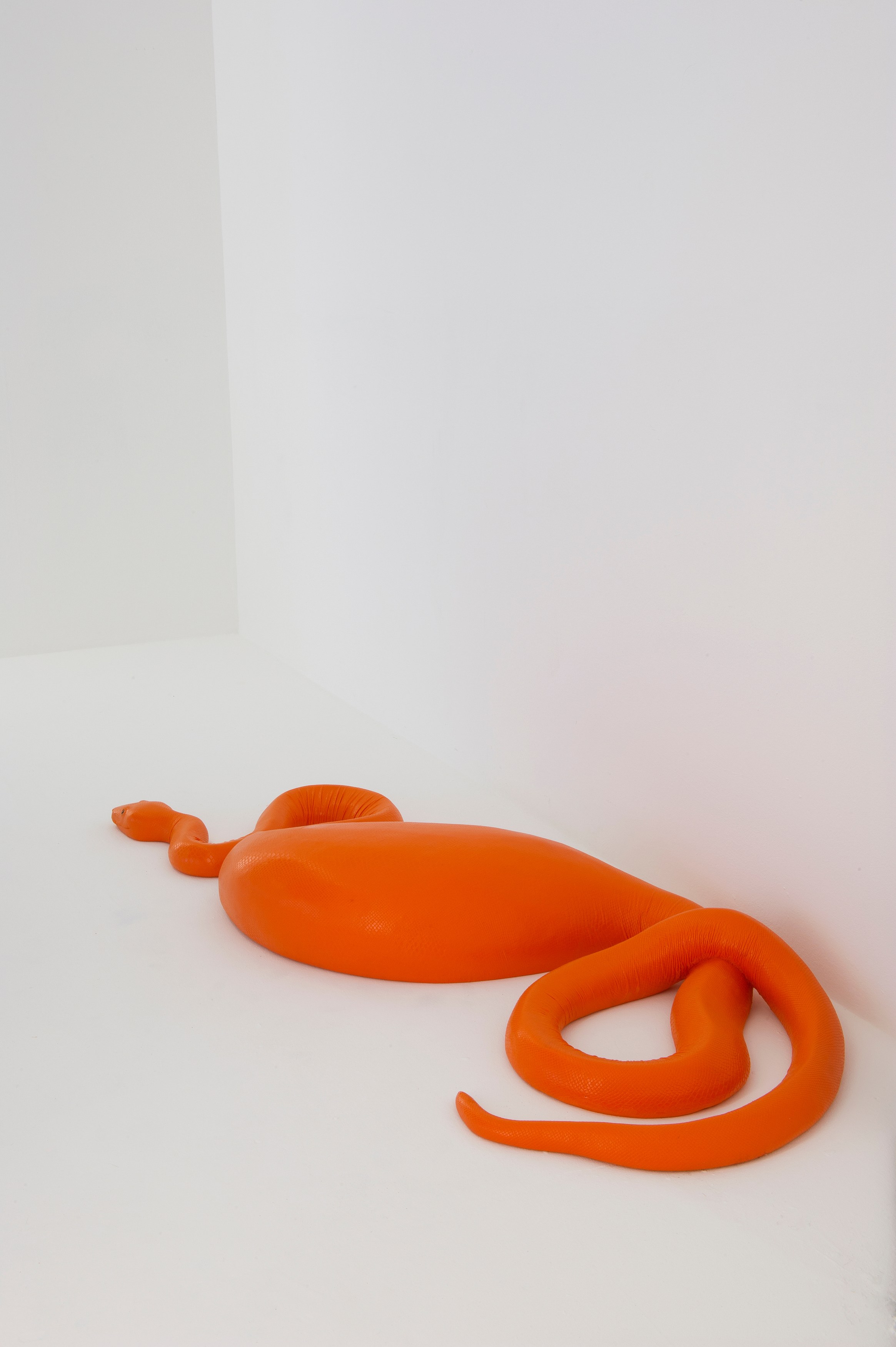 Carsten Höller, AVEC at Air de Paris, photo 31