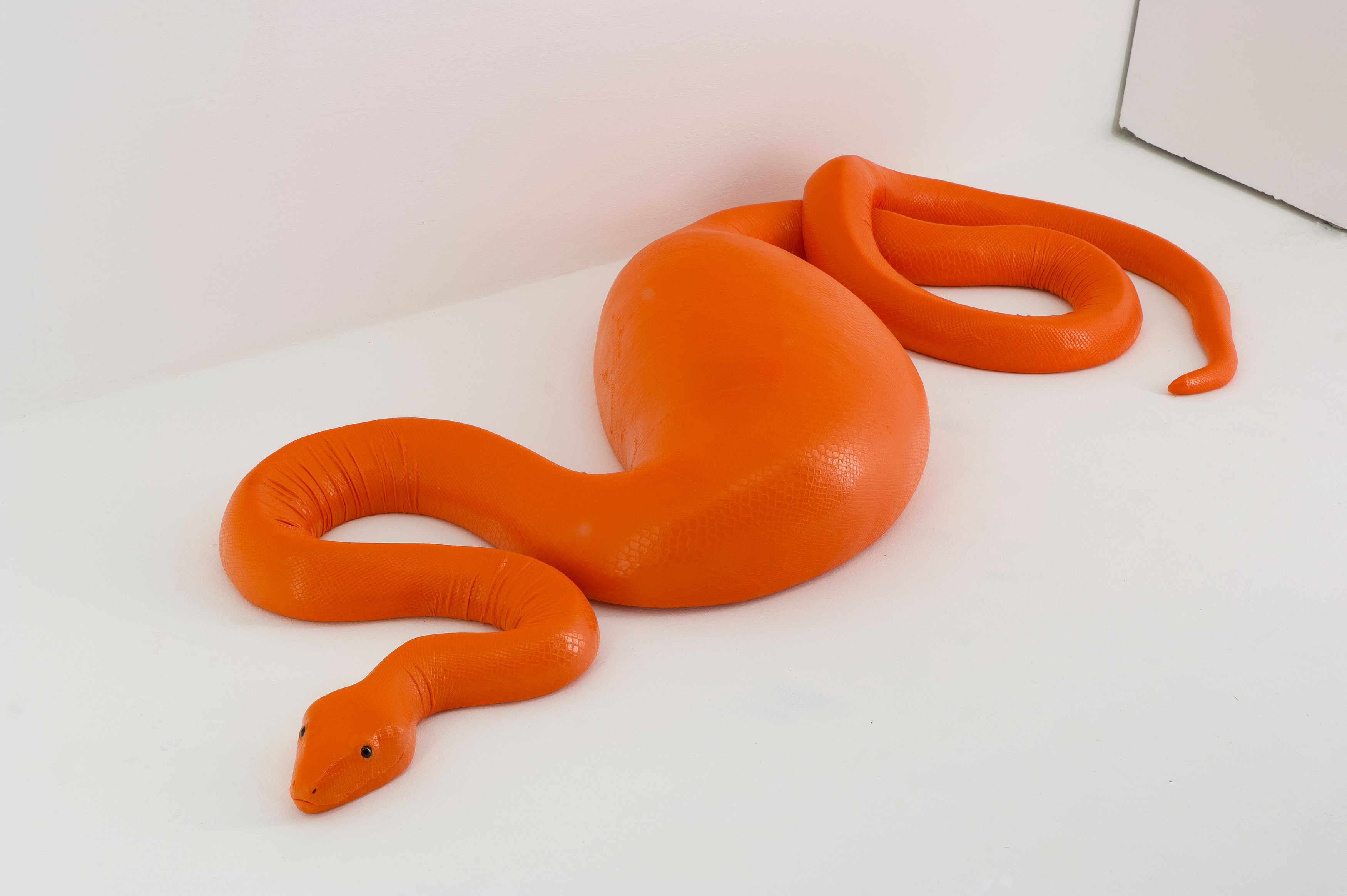 Carsten Höller, AVEC at Air de Paris, photo 32