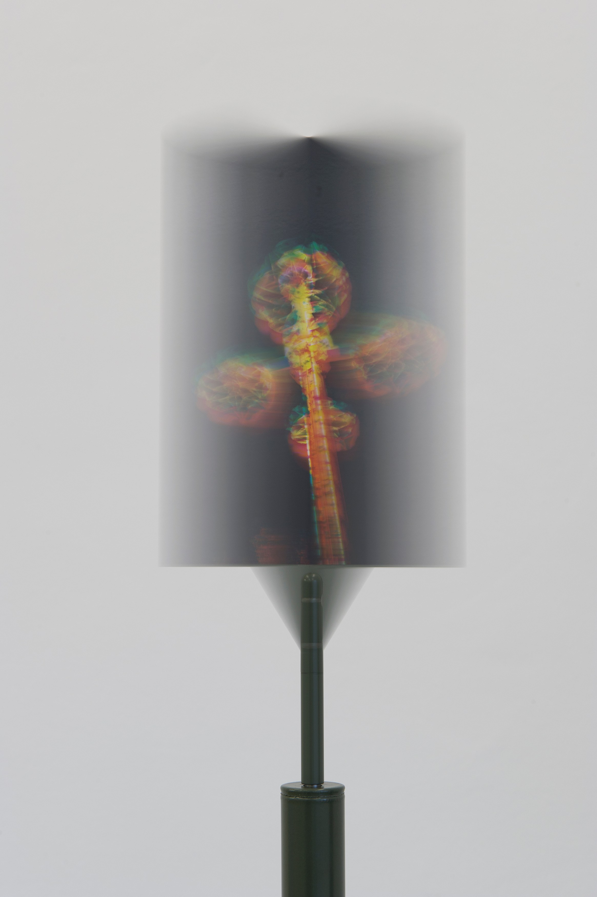 Carsten Höller, AVEC at Air de Paris, photo 25