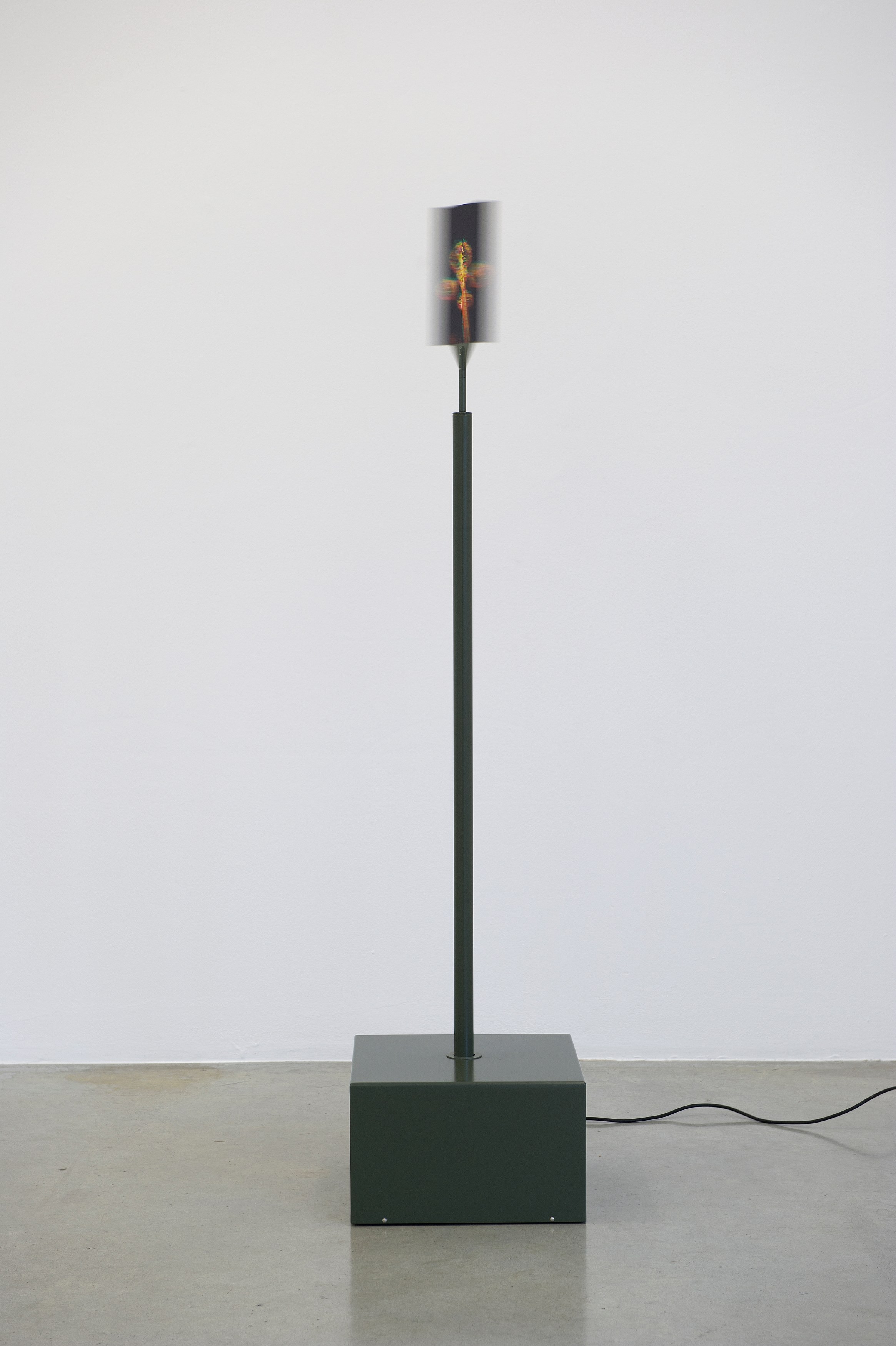 Carsten Höller, AVEC at Air de Paris, photo 24
