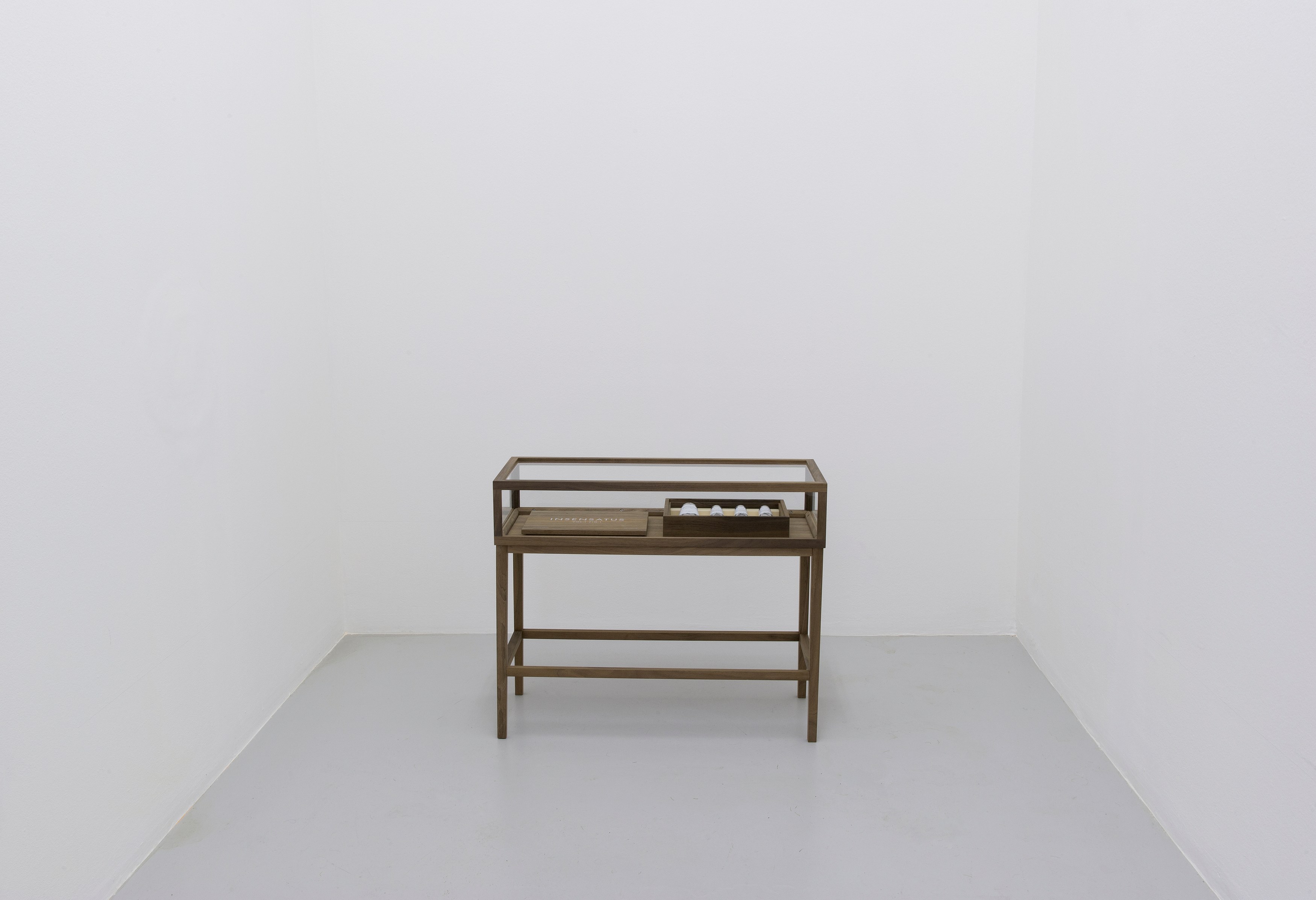 Carsten Höller, AVEC at Air de Paris, photo 13