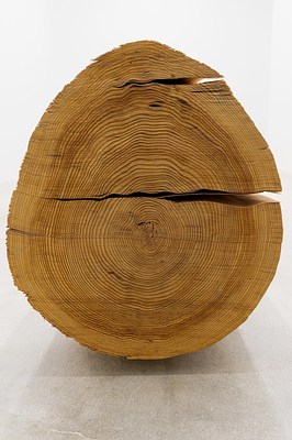 Image 25 of 27