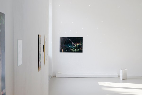 Image 17 of 36