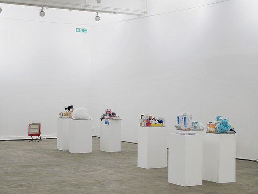 Installation view of seven pedestals with shallow metal trays containing various medical and drugstore items, and one with a stack of papers. A portable red space heater sits near the wall farthest from us.