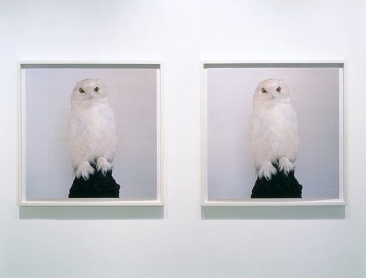 Image 13 of 17