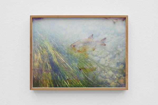 Image 10 of 12