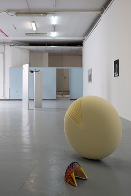 Image 4 of 24