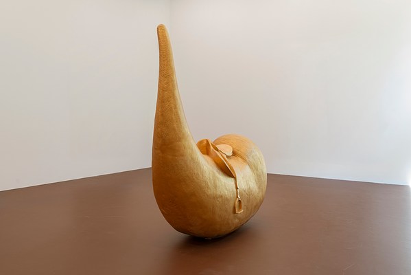 Image 7 of 16