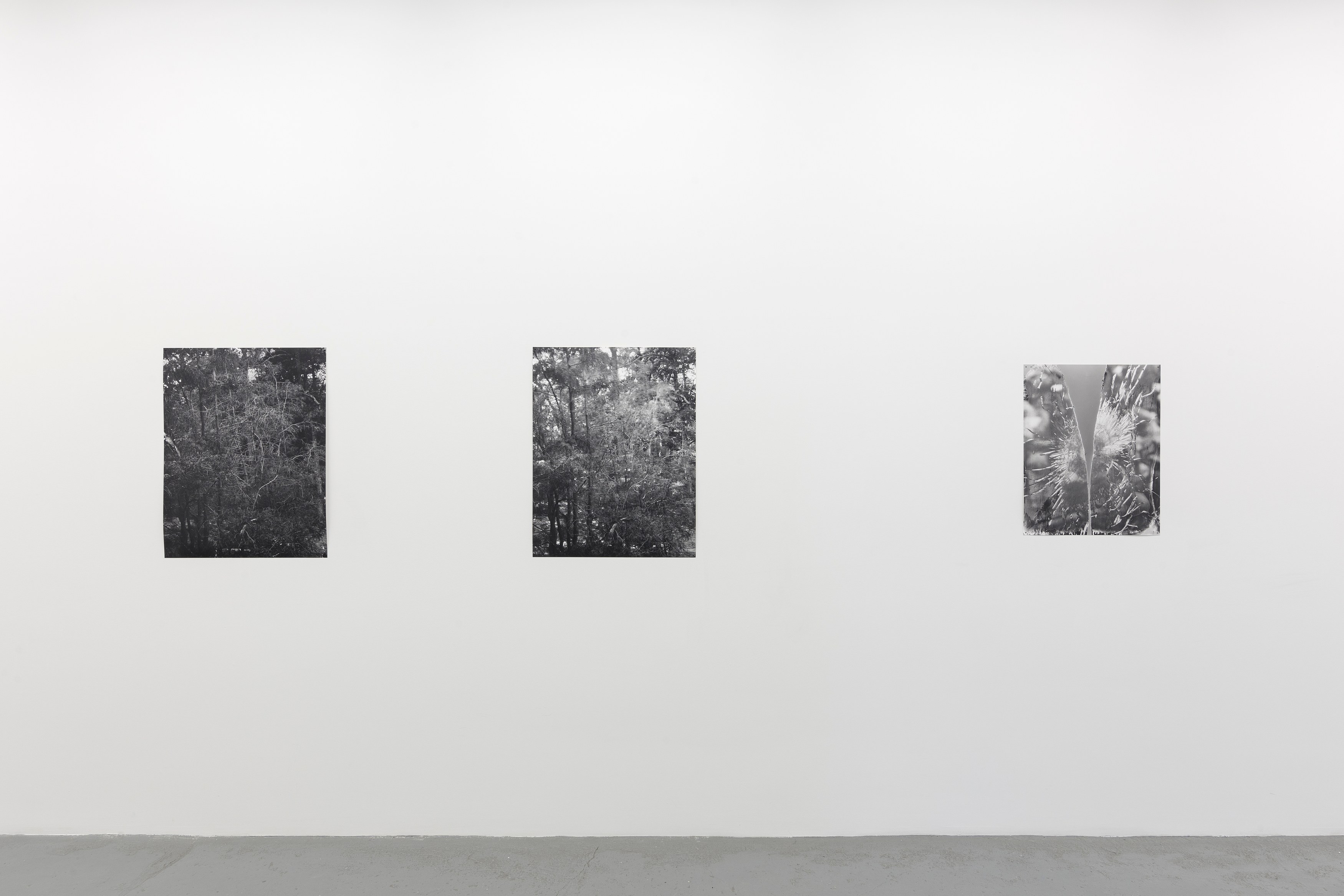 Eileen Quinlan, Mind Craft at Miguel Abreu, New York (88 Eldridge Street, 36 Orchard Street), photo 2