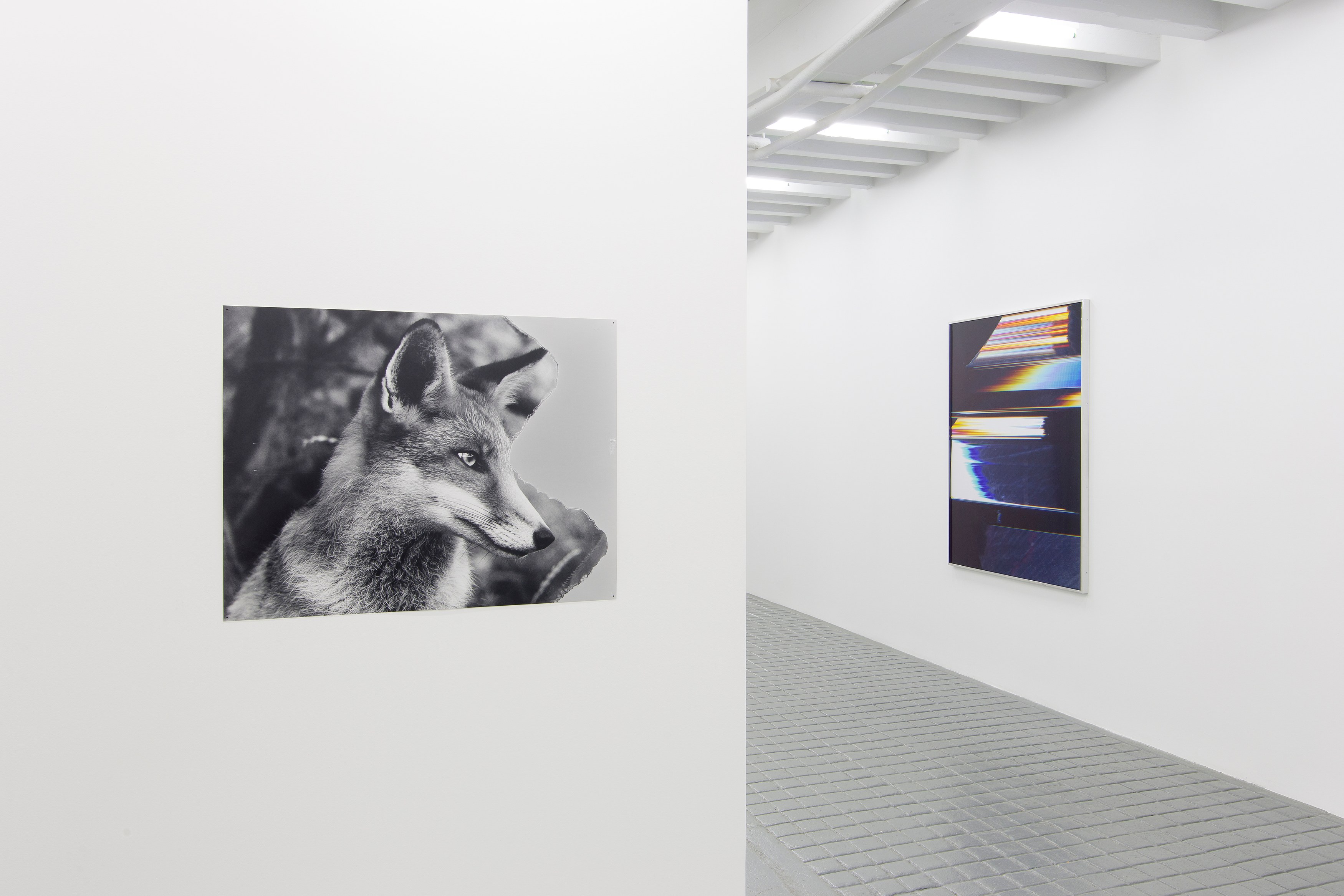 Eileen Quinlan, Mind Craft at Miguel Abreu, New York (88 Eldridge Street, 36 Orchard Street), photo 3