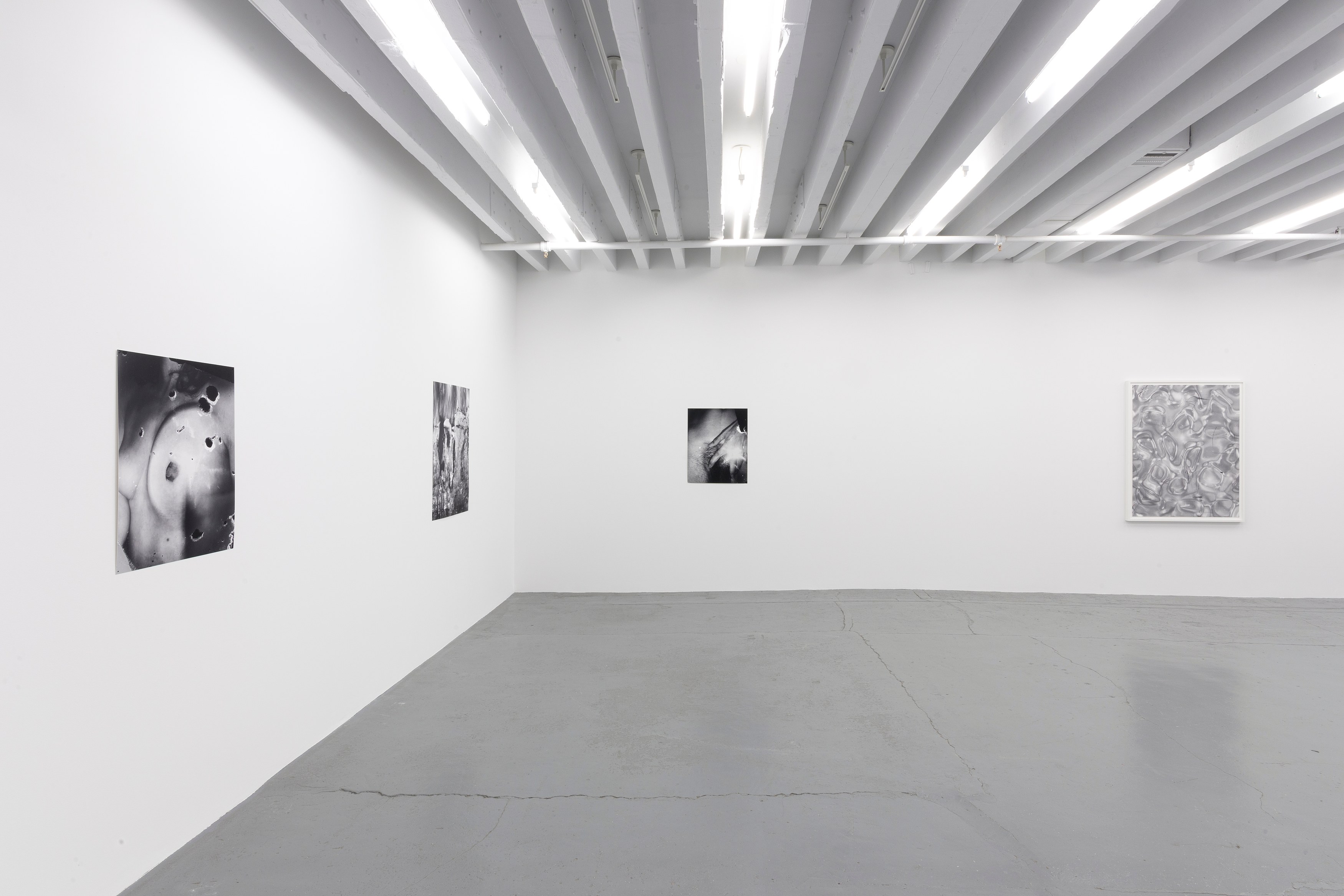 Eileen Quinlan, Mind Craft at Miguel Abreu, New York (88 Eldridge Street, 36 Orchard Street), photo 5