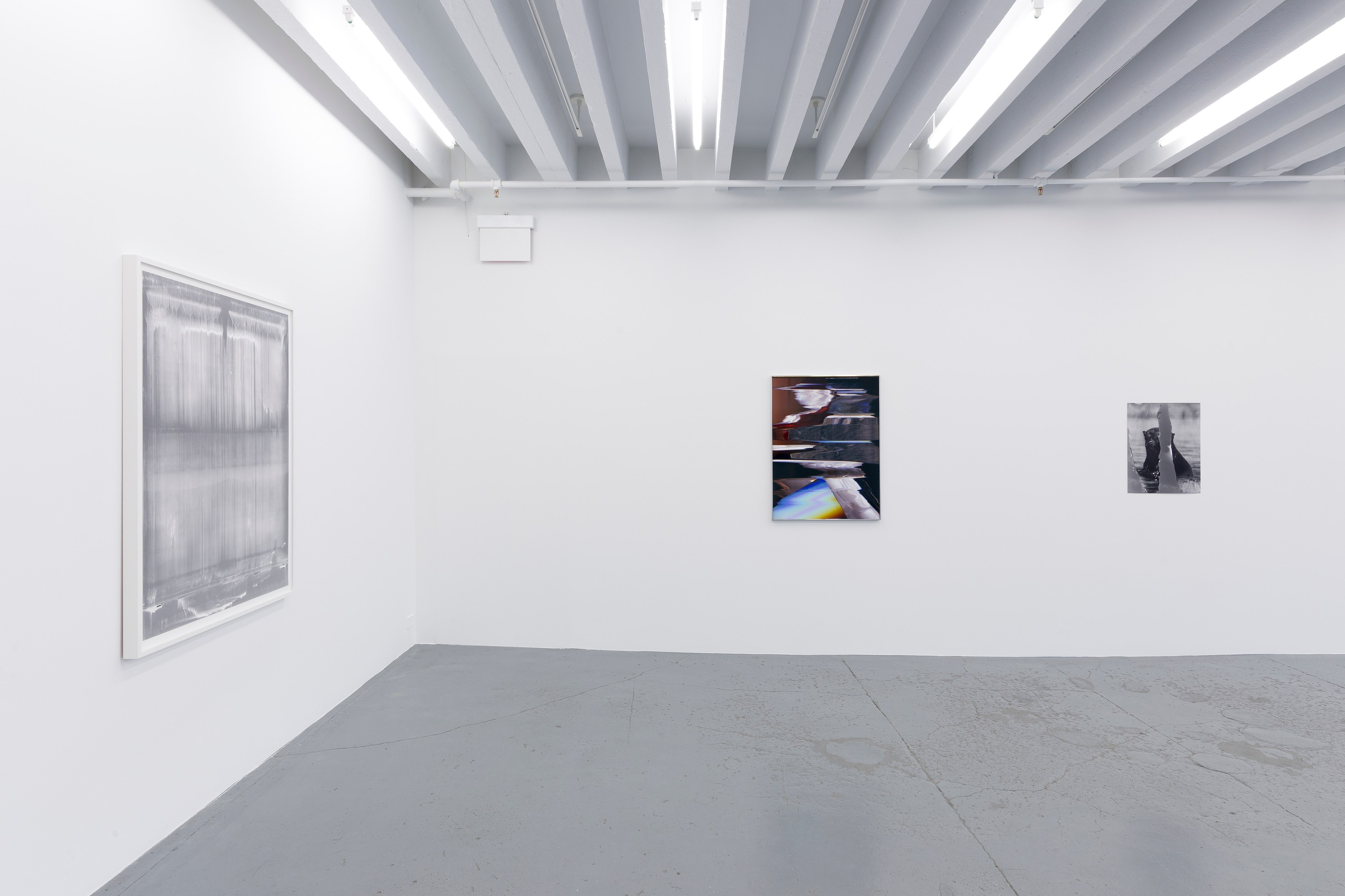 Eileen Quinlan, Mind Craft at Miguel Abreu, New York (88 Eldridge Street, 36 Orchard Street), photo 9