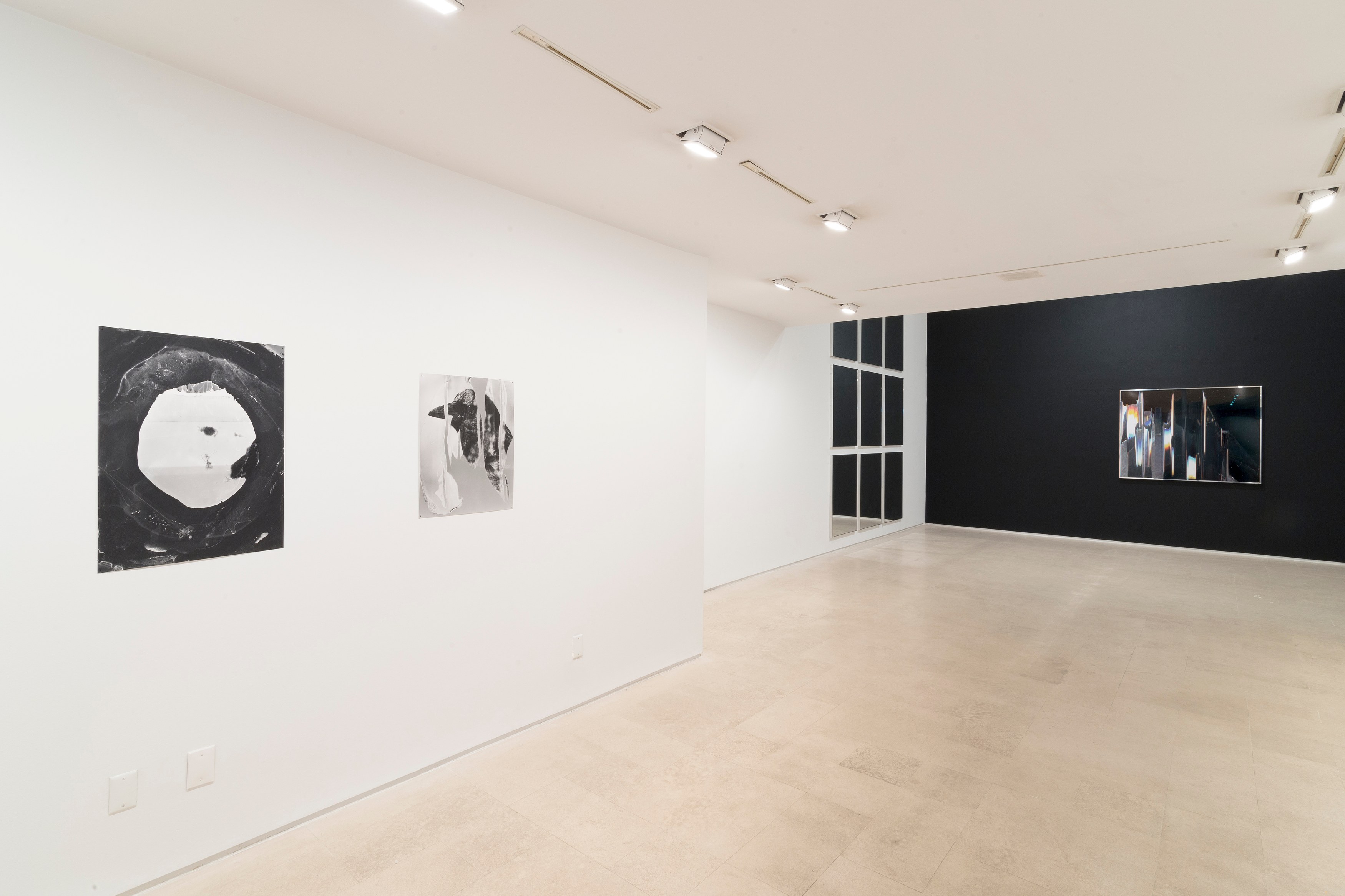 Eileen Quinlan, Mind Craft at Miguel Abreu, New York (88 Eldridge Street, 36 Orchard Street), photo 18
