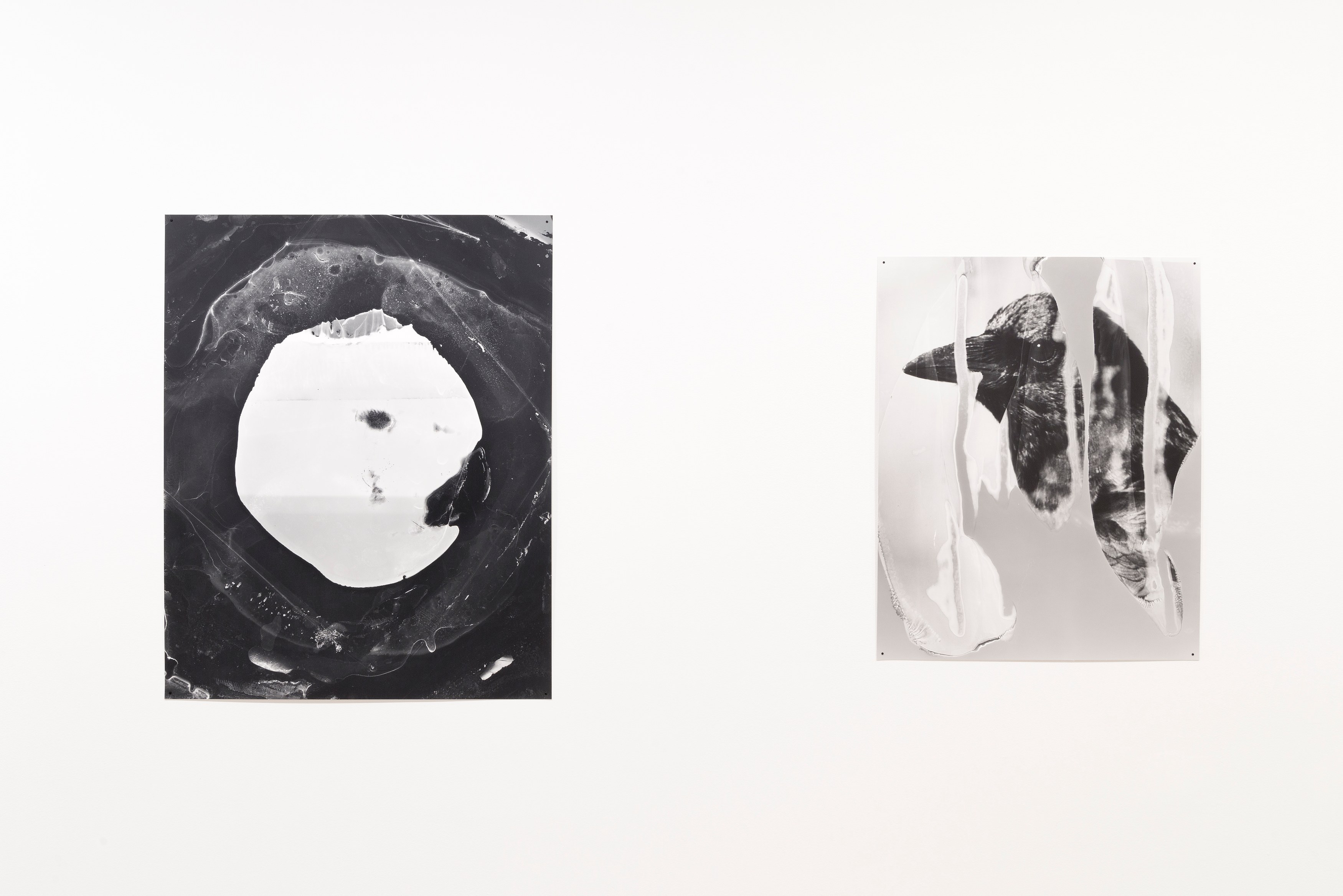 Eileen Quinlan, Mind Craft at Miguel Abreu, New York (88 Eldridge Street, 36 Orchard Street), photo 19