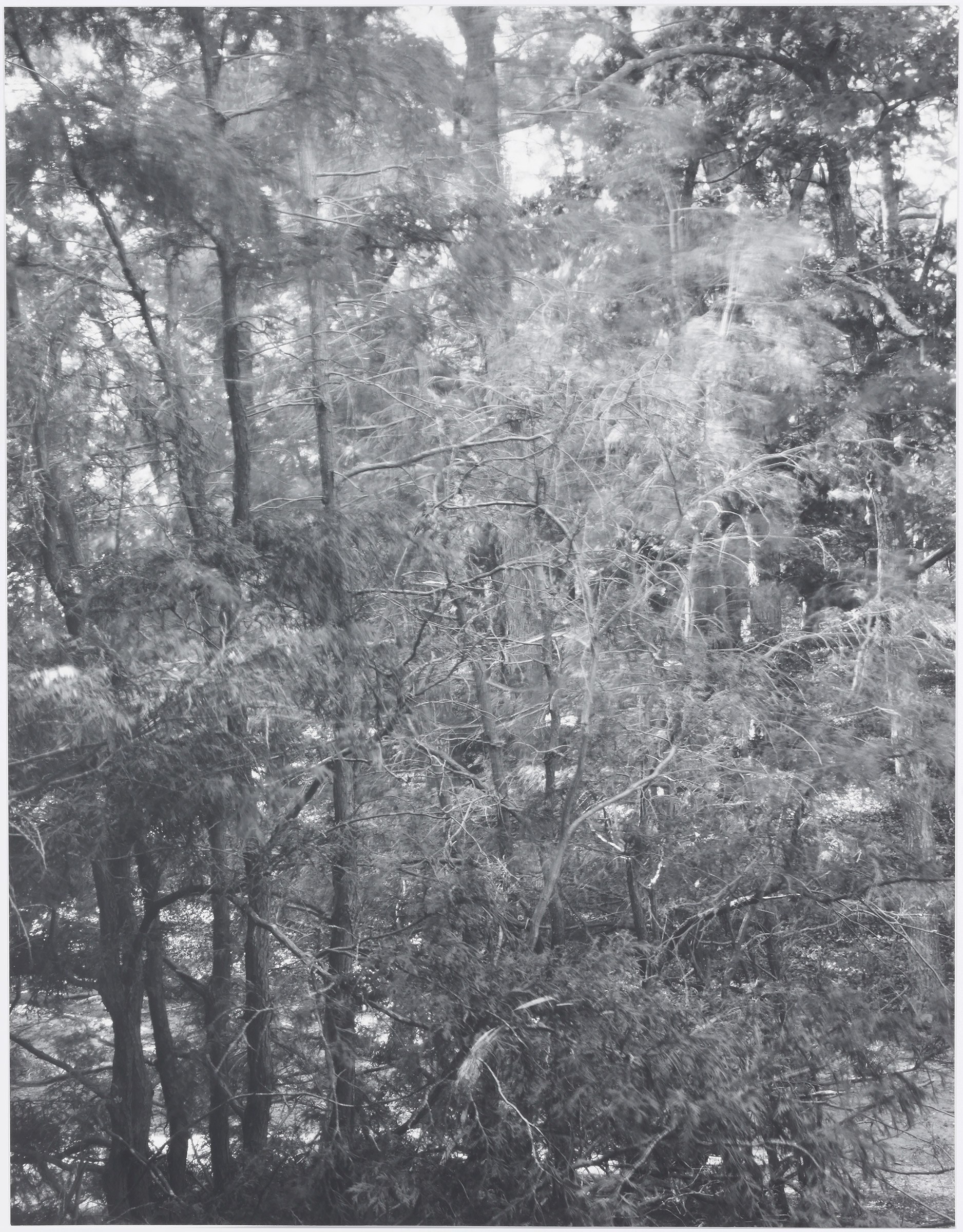 Eileen Quinlan, Mind Craft at Miguel Abreu, New York (88 Eldridge Street, 36 Orchard Street), photo 22