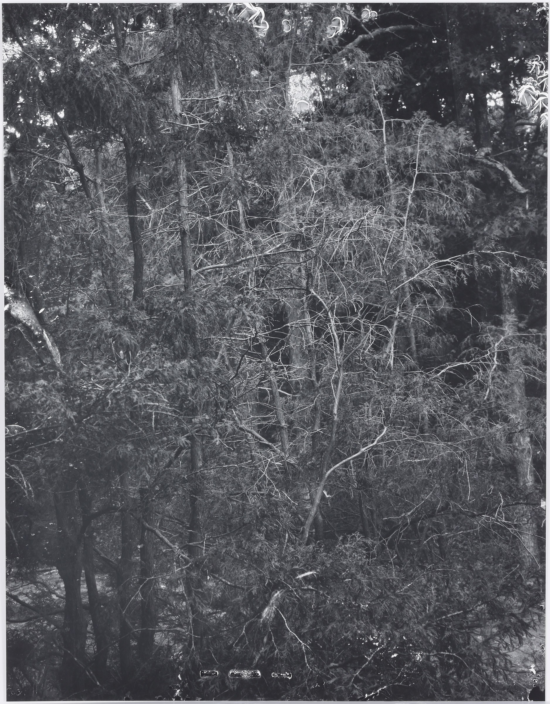 Eileen Quinlan, Mind Craft at Miguel Abreu, New York (88 Eldridge Street, 36 Orchard Street), photo 23