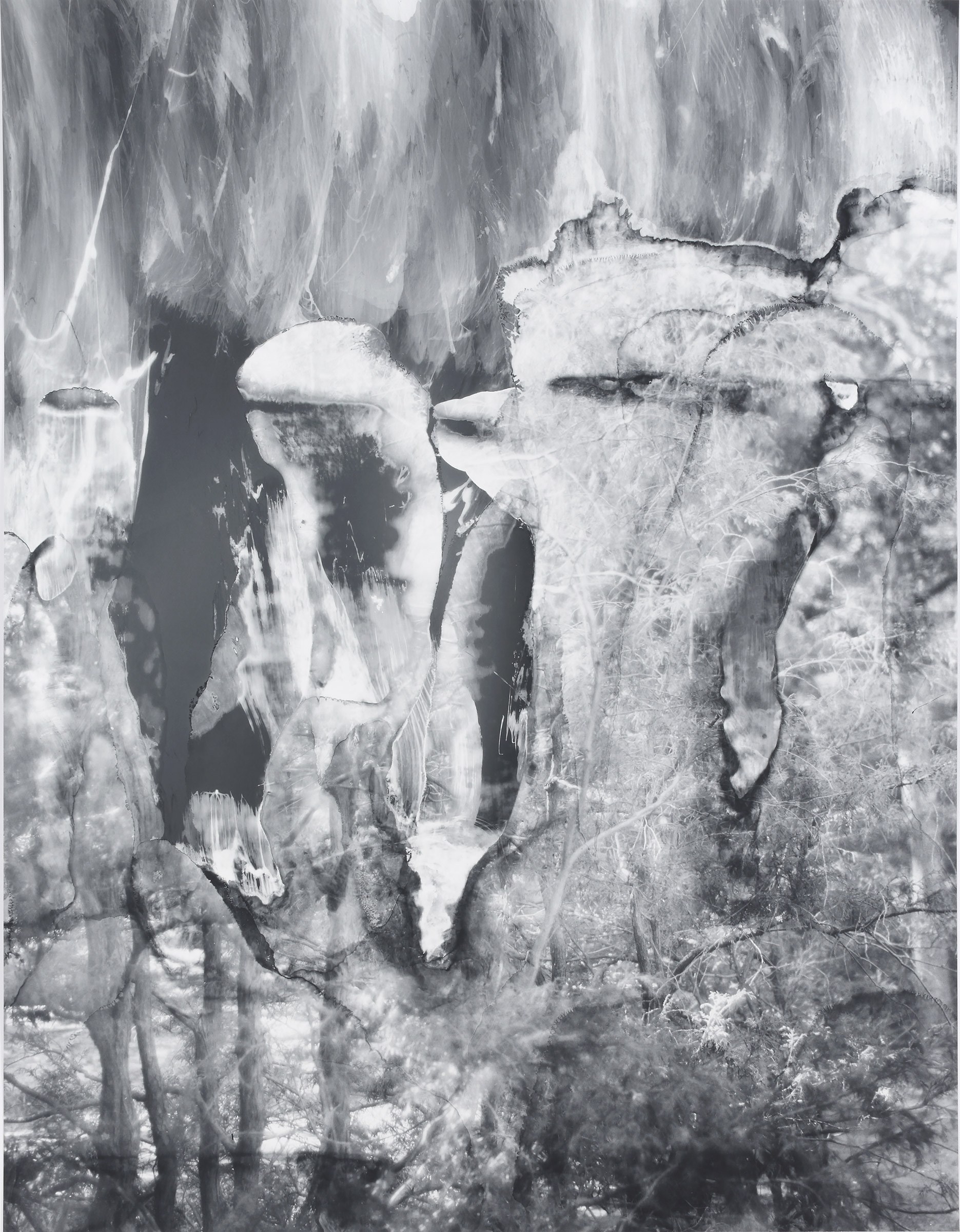 Eileen Quinlan, Mind Craft at Miguel Abreu, New York (88 Eldridge Street, 36 Orchard Street), photo 27