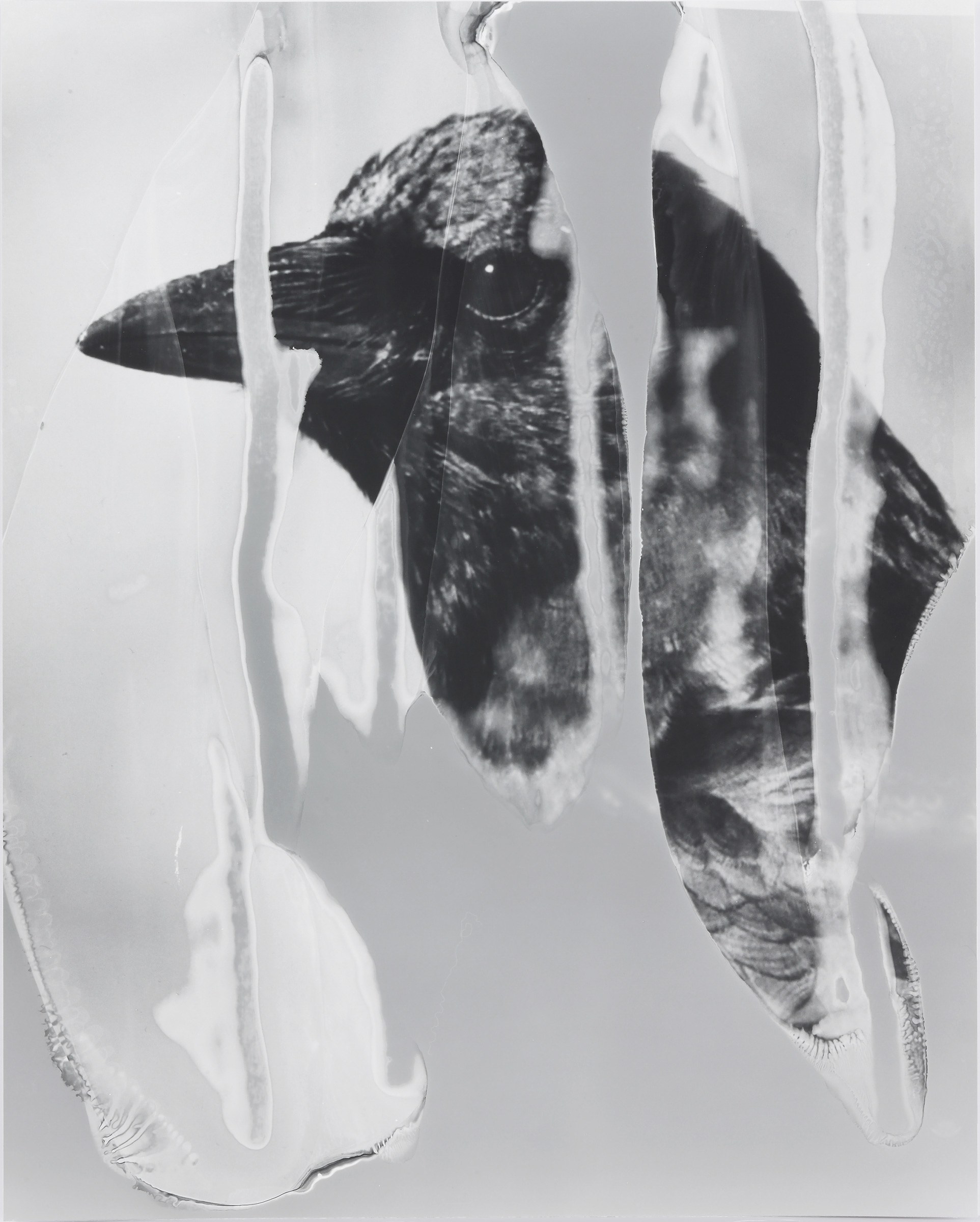 Eileen Quinlan, Mind Craft at Miguel Abreu, New York (88 Eldridge Street, 36 Orchard Street), photo 45