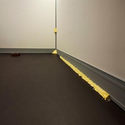 Image 7 of 16
