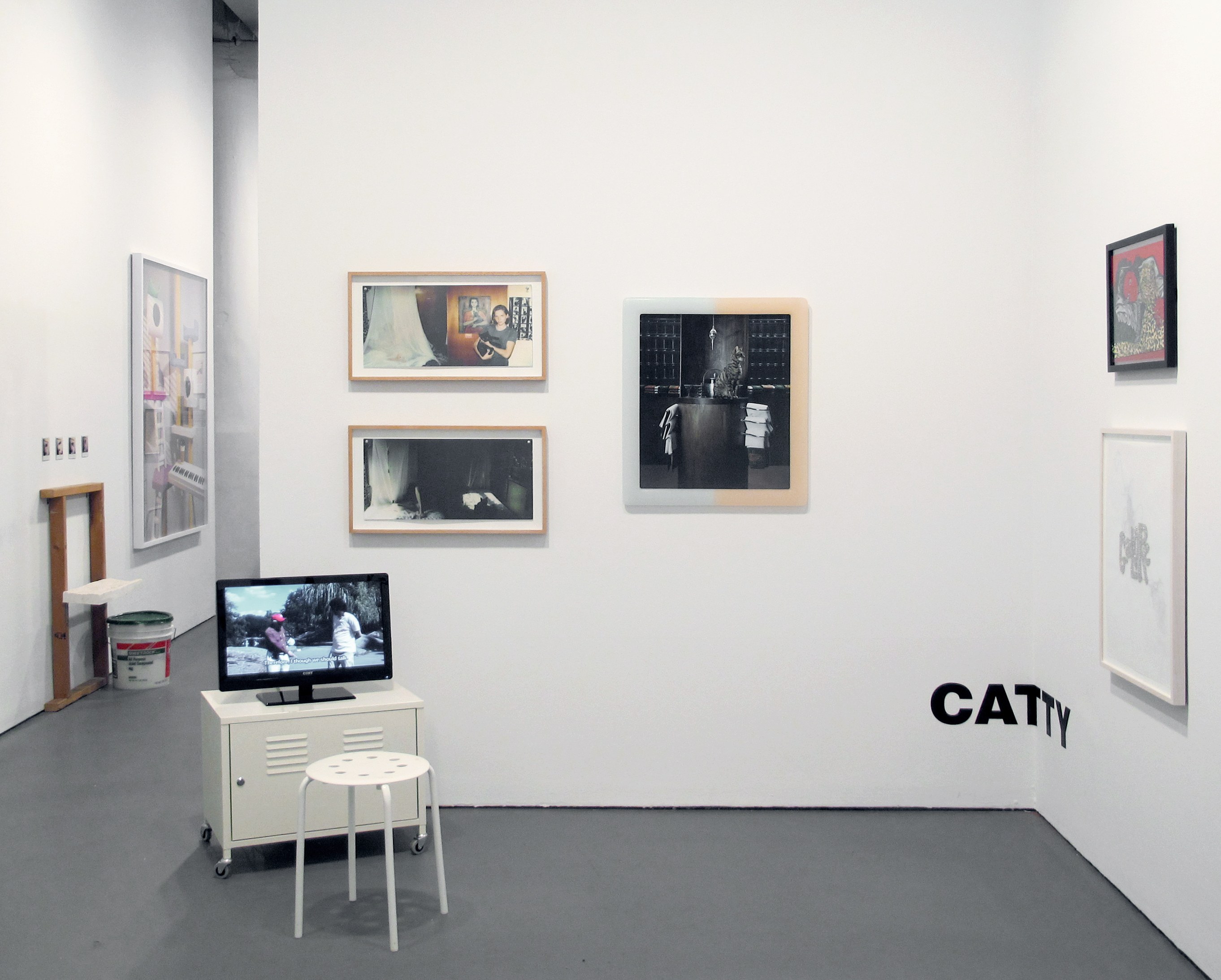 The Cat Show, The Cat Show at White Columns, photo 2