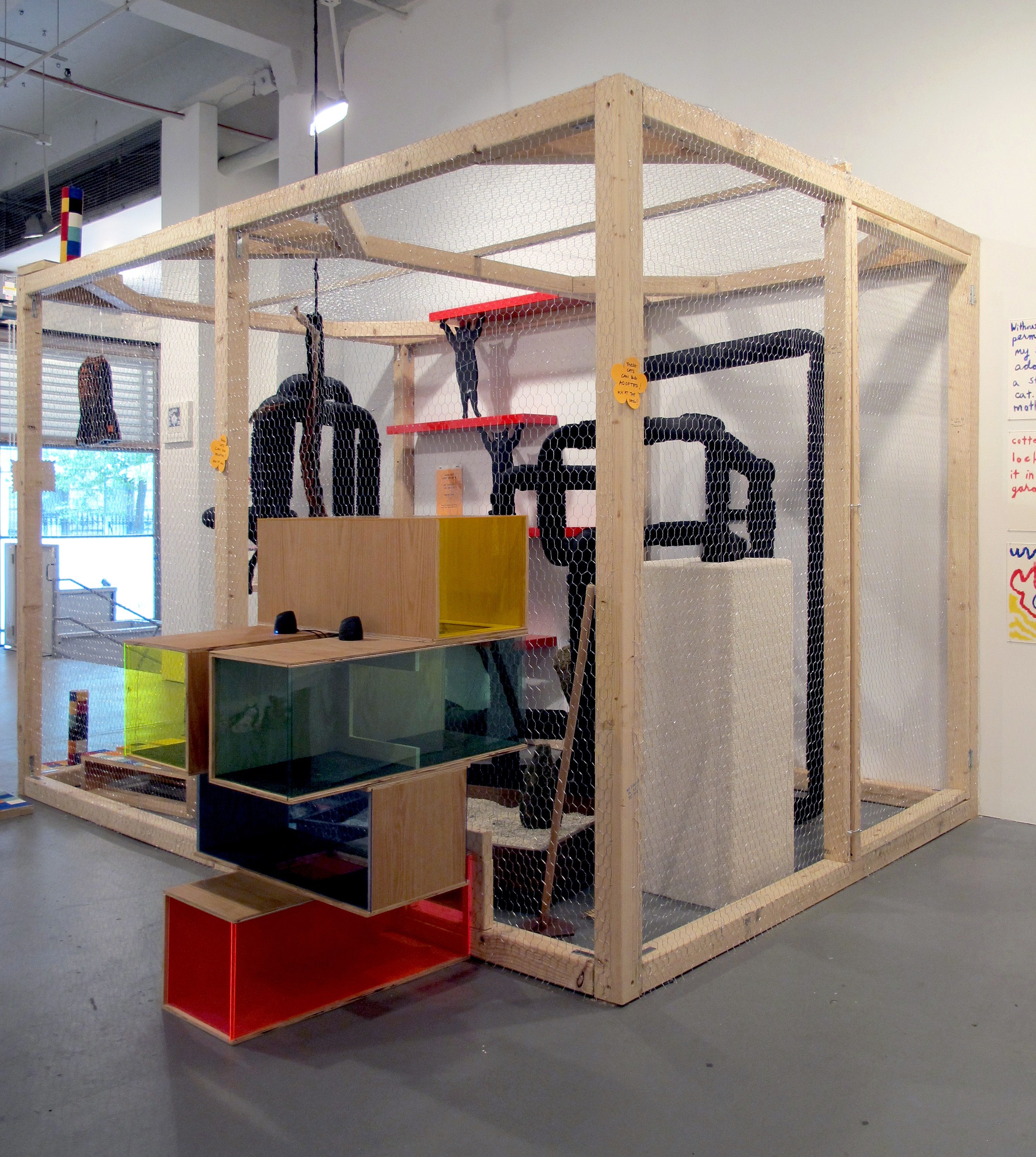 The Cat Show, The Cat Show at White Columns, photo 6