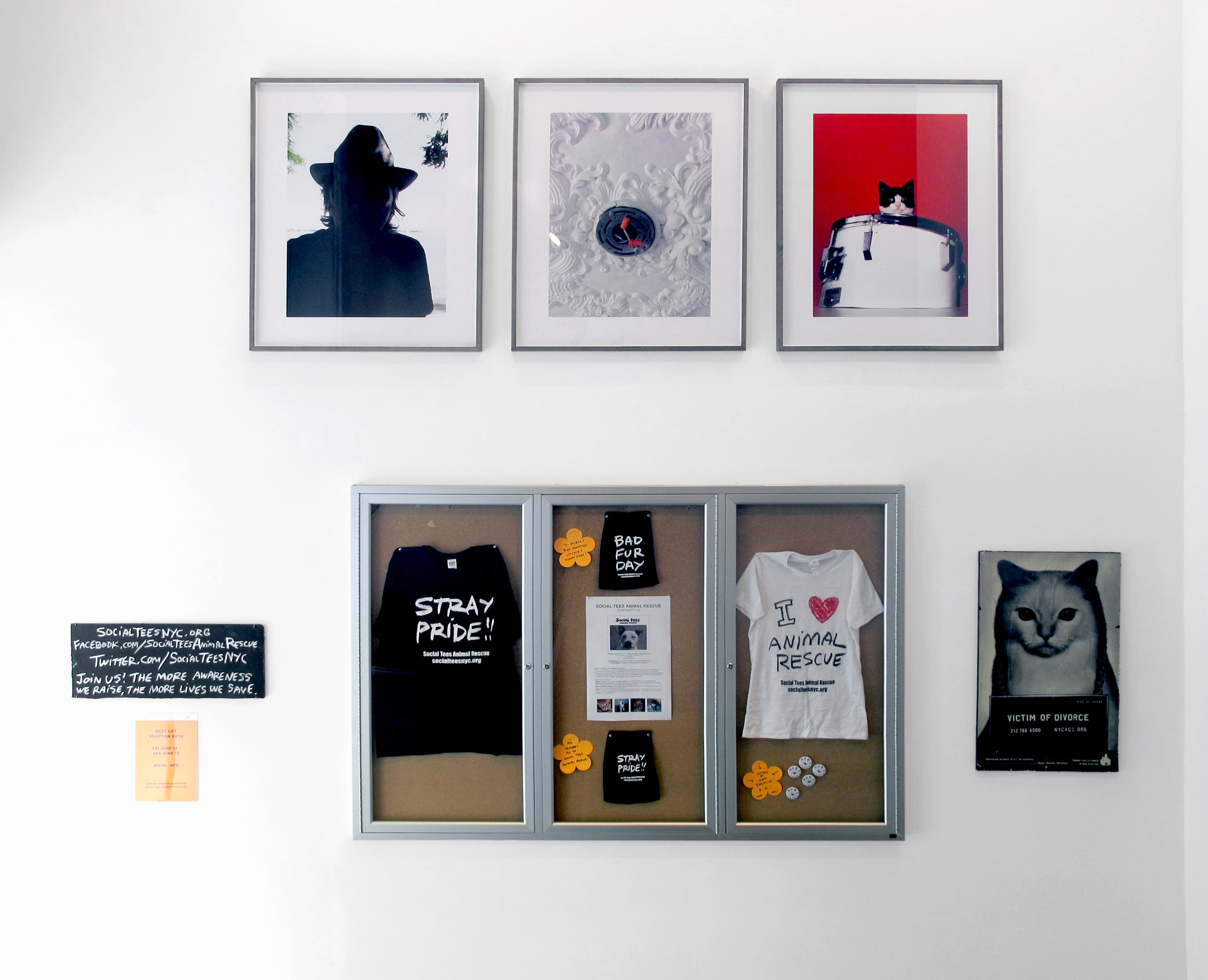 The Cat Show, The Cat Show at White Columns, photo 10