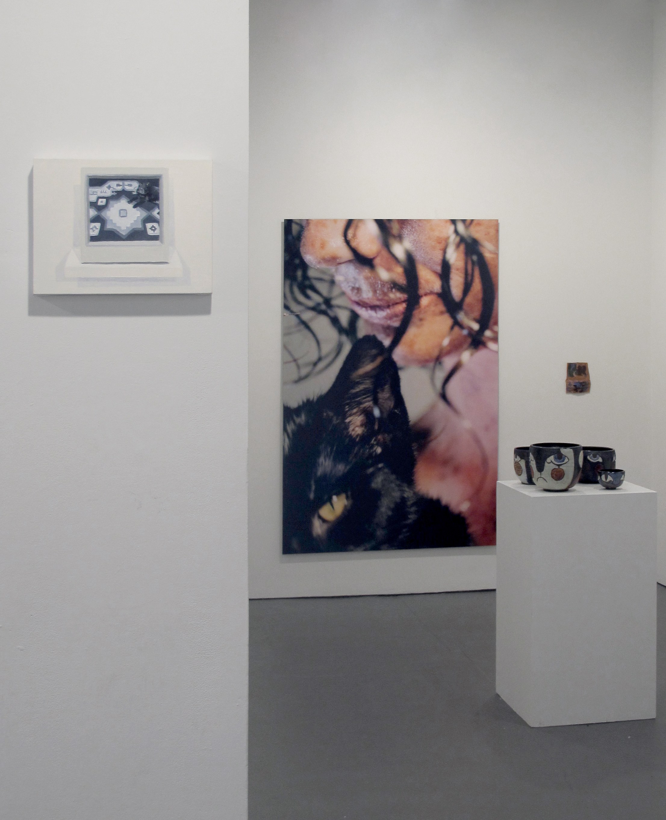 The Cat Show, The Cat Show at White Columns, photo 13