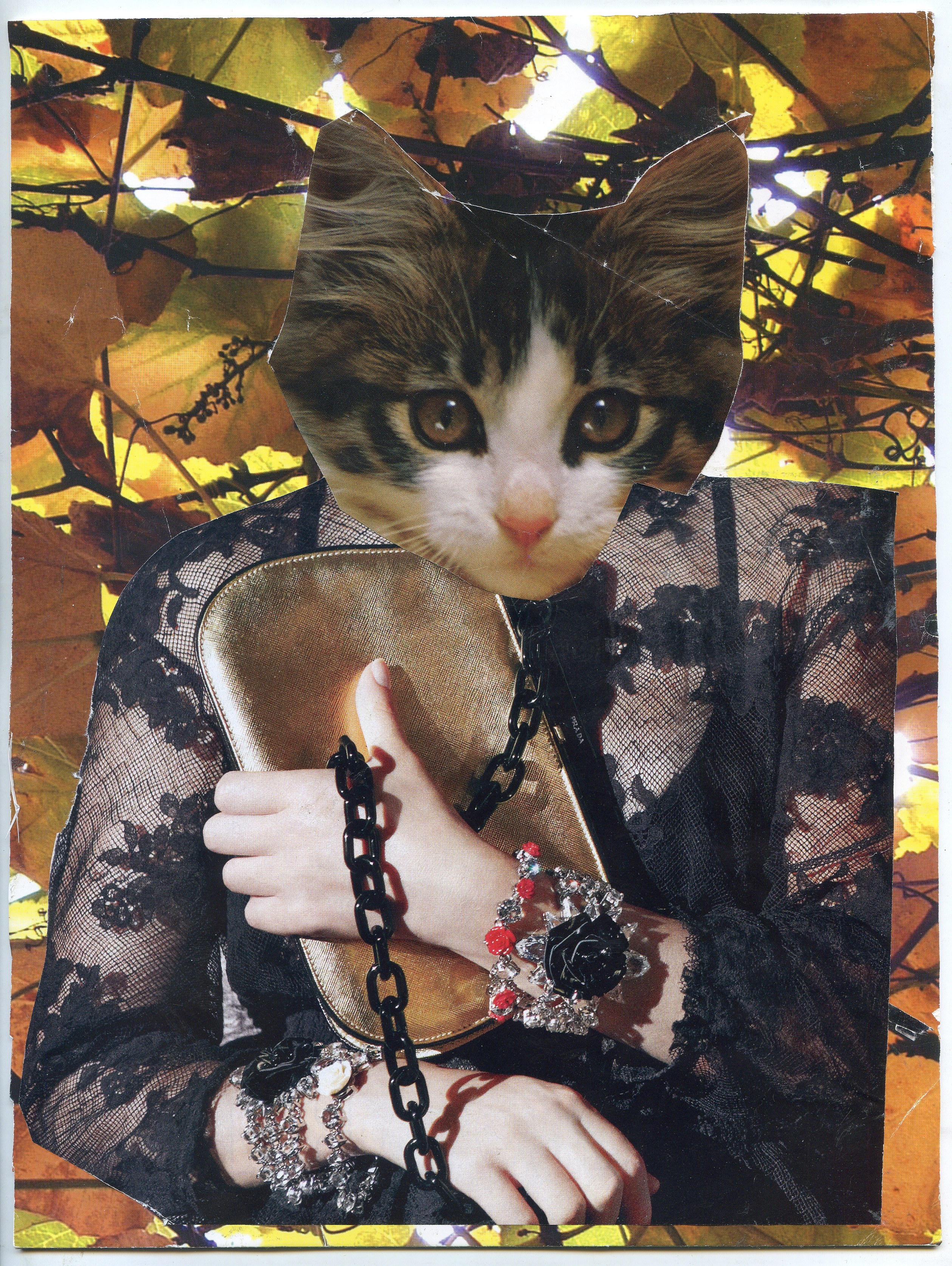 The Cat Show, The Cat Show at White Columns, photo 20