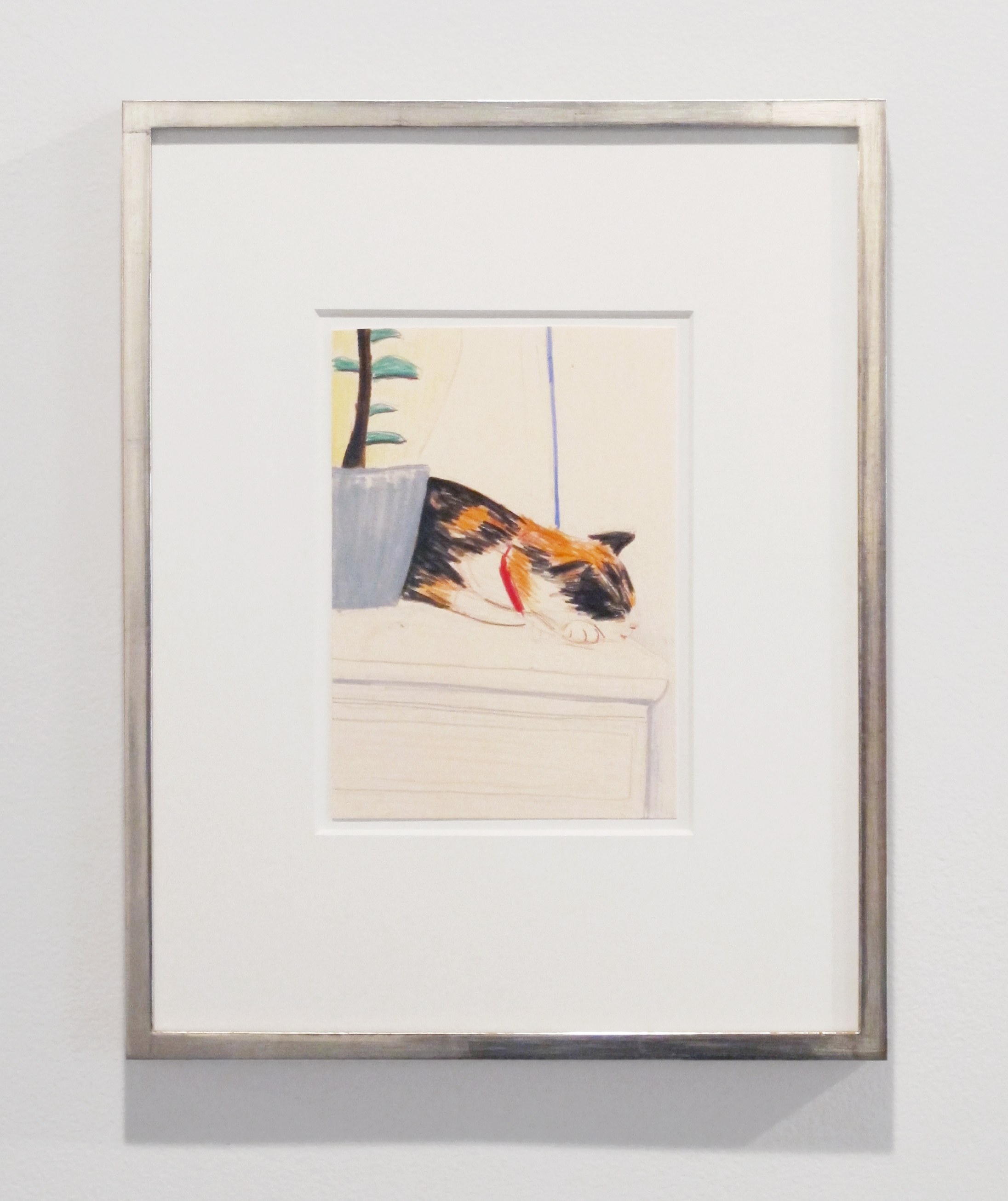 The Cat Show, The Cat Show at White Columns, photo 30