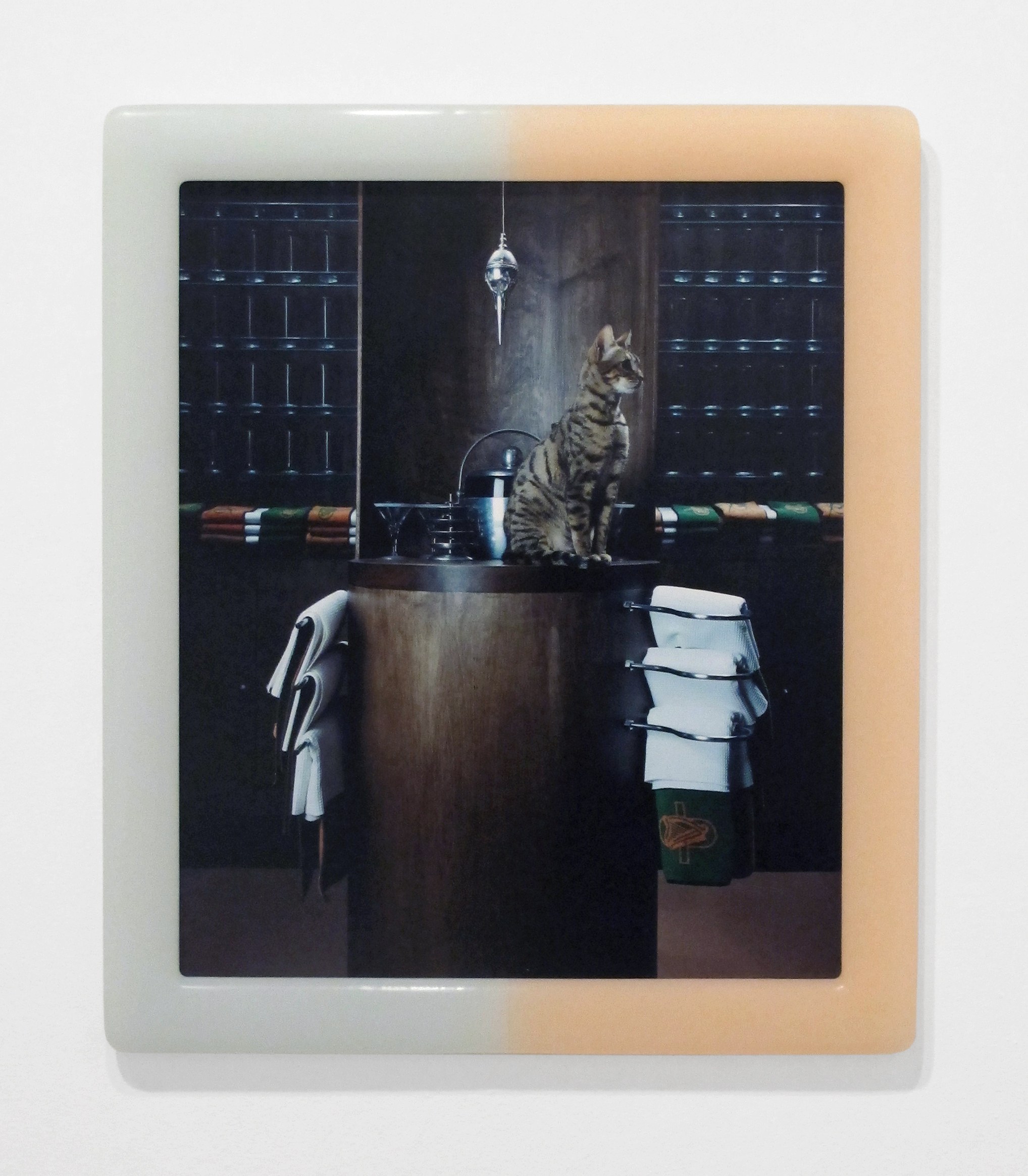 The Cat Show, The Cat Show at White Columns, photo 32
