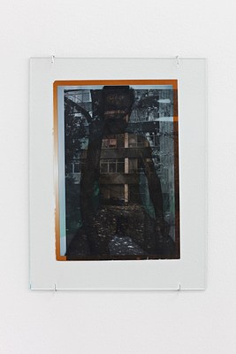Image 12 of 41