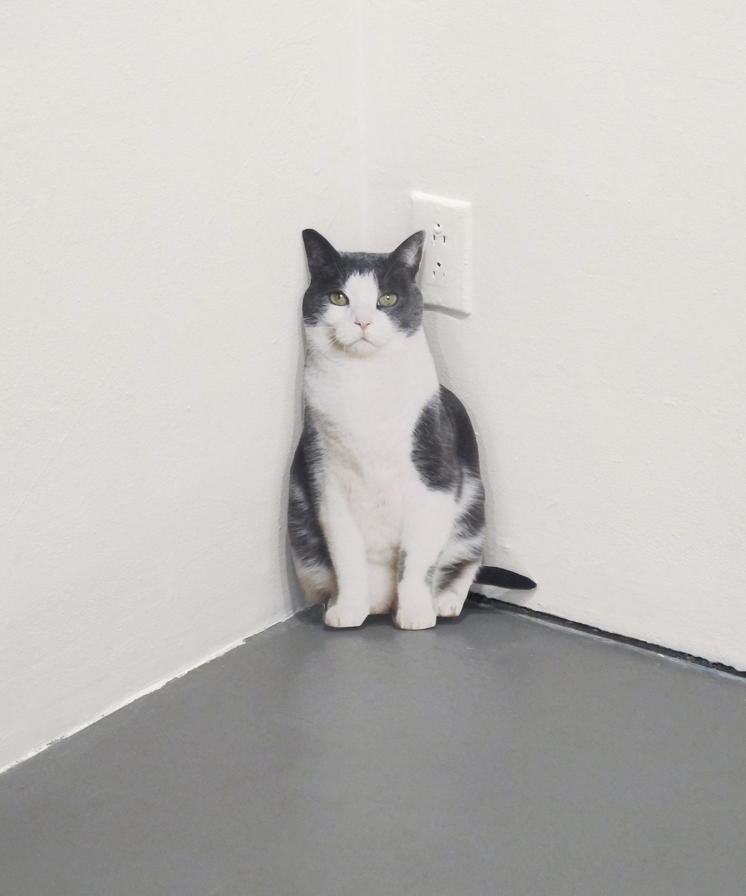 The Cat Show, The Cat Show at White Columns, photo 34