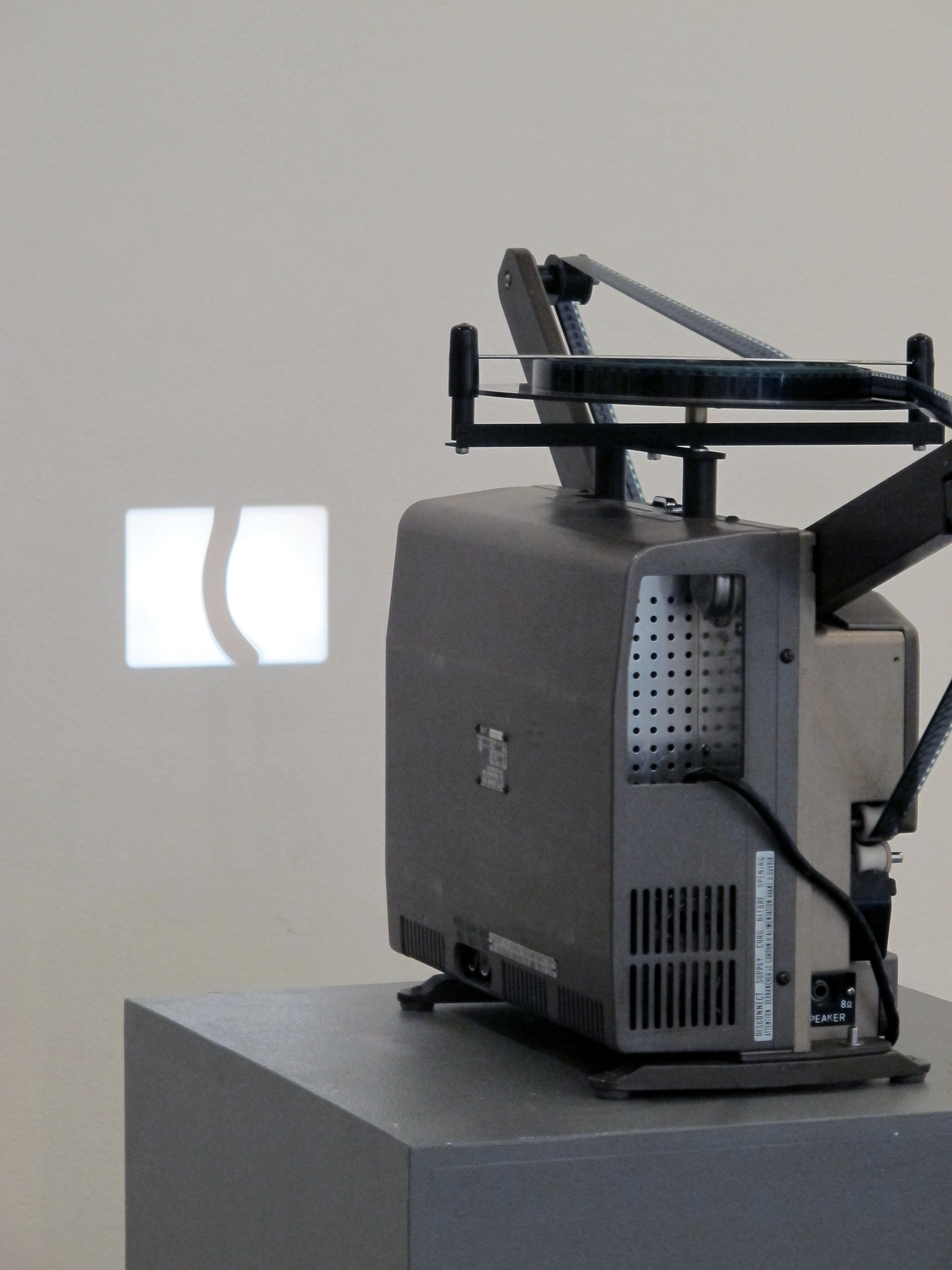 The Cat Show, The Cat Show at White Columns, photo 38