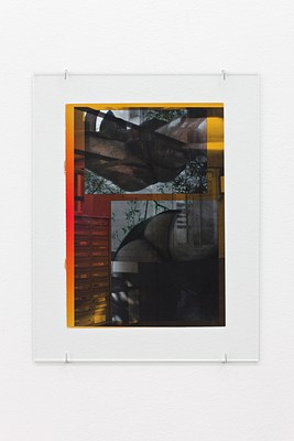 Image 19 of 41