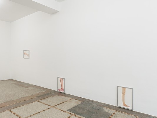 Image 4 of 31